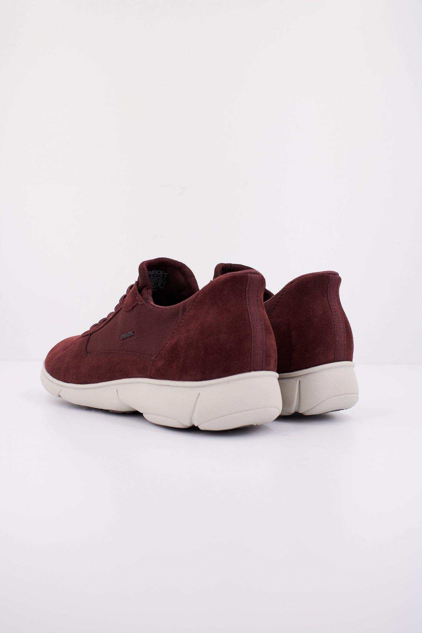 GEOX D NEBULA . en color BURDEOS (4)