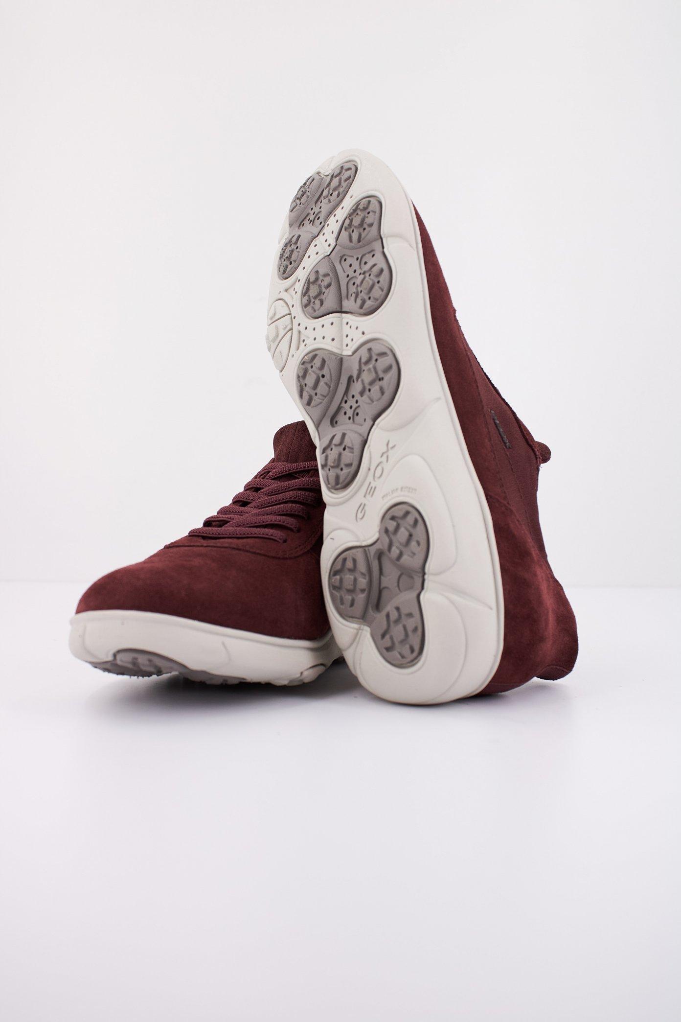 GEOX D NEBULA . en color BURDEOS (5)