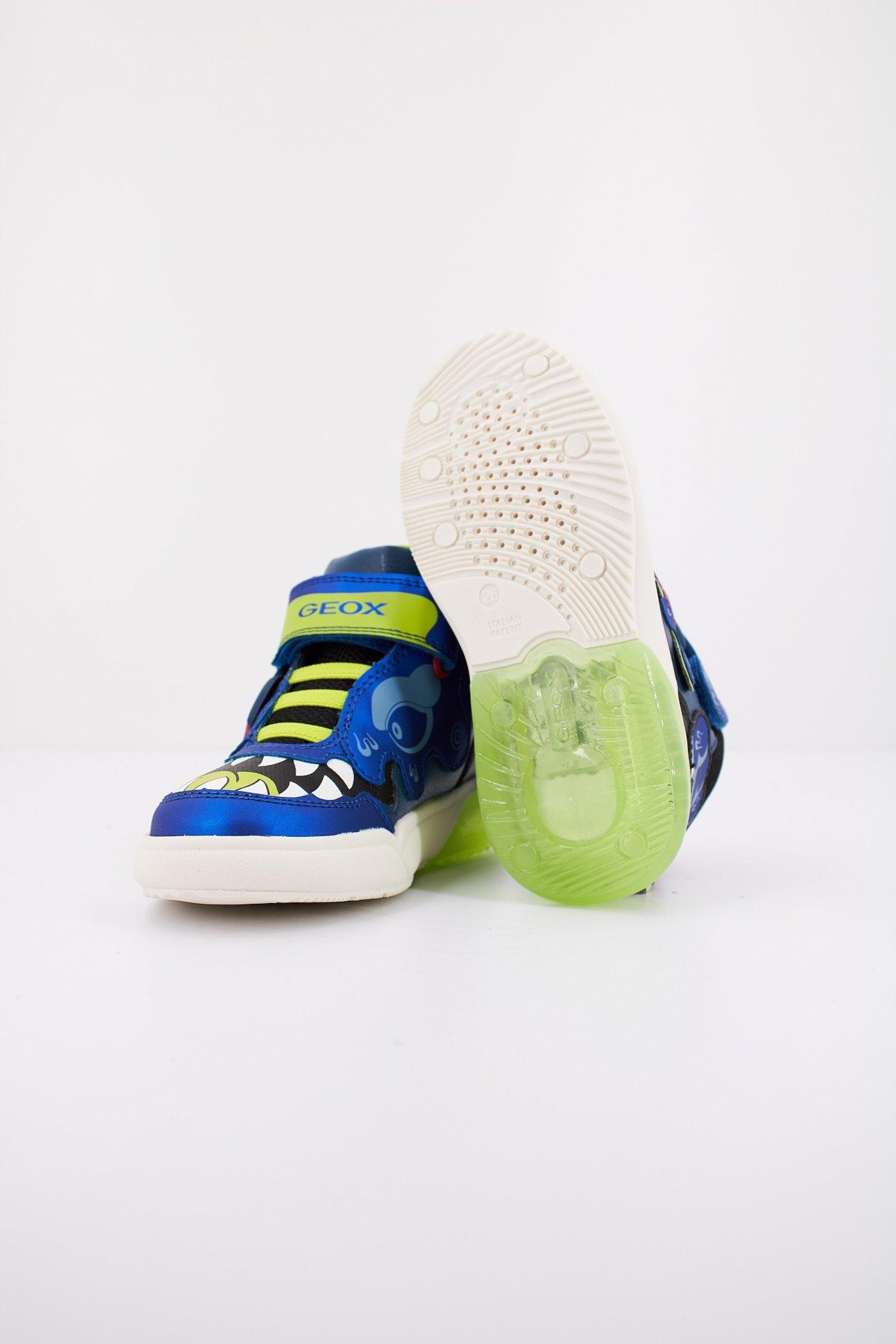GEOX en color AZUL (5)