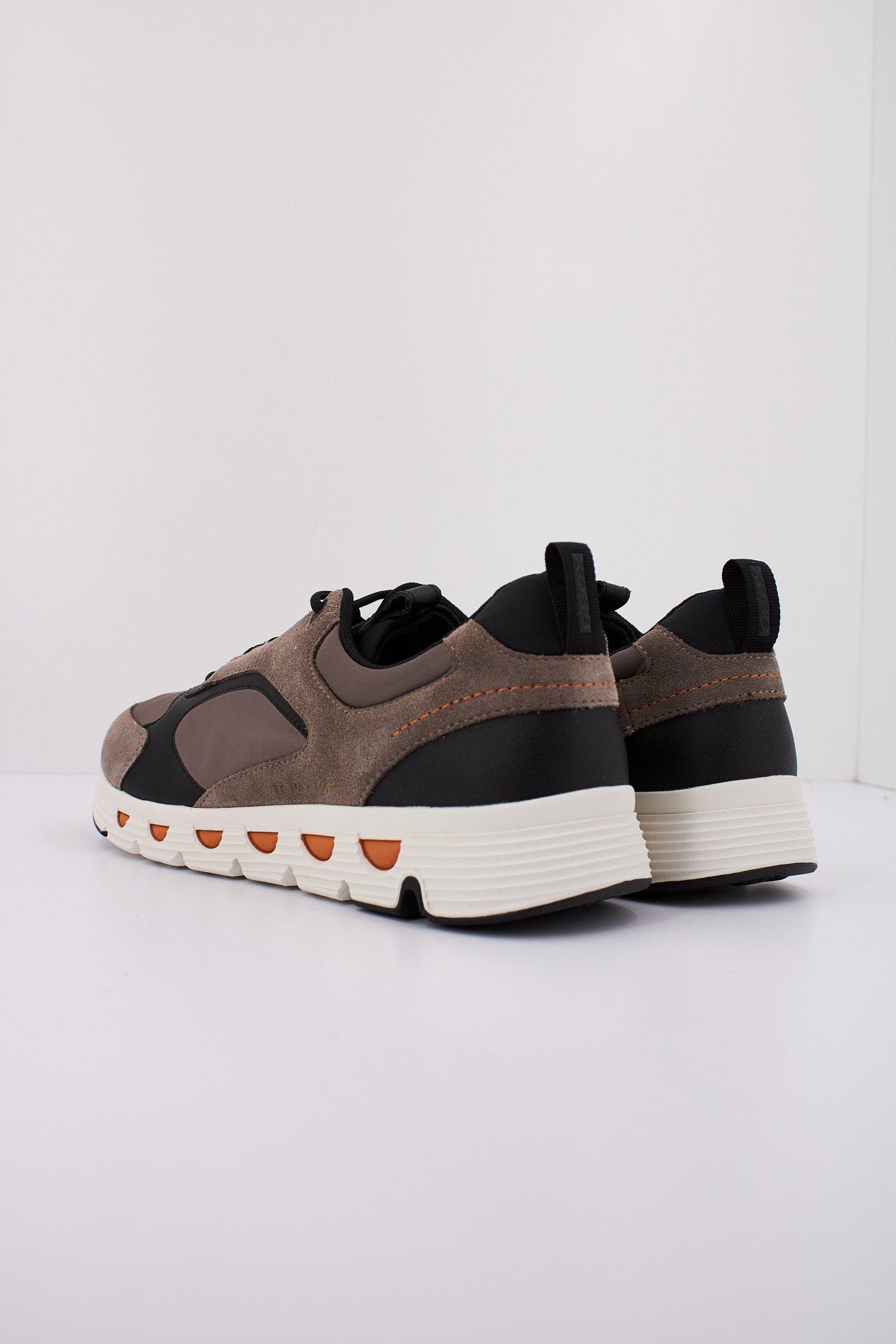 GEOX FU U SPHERICA en color BEIS (4)
