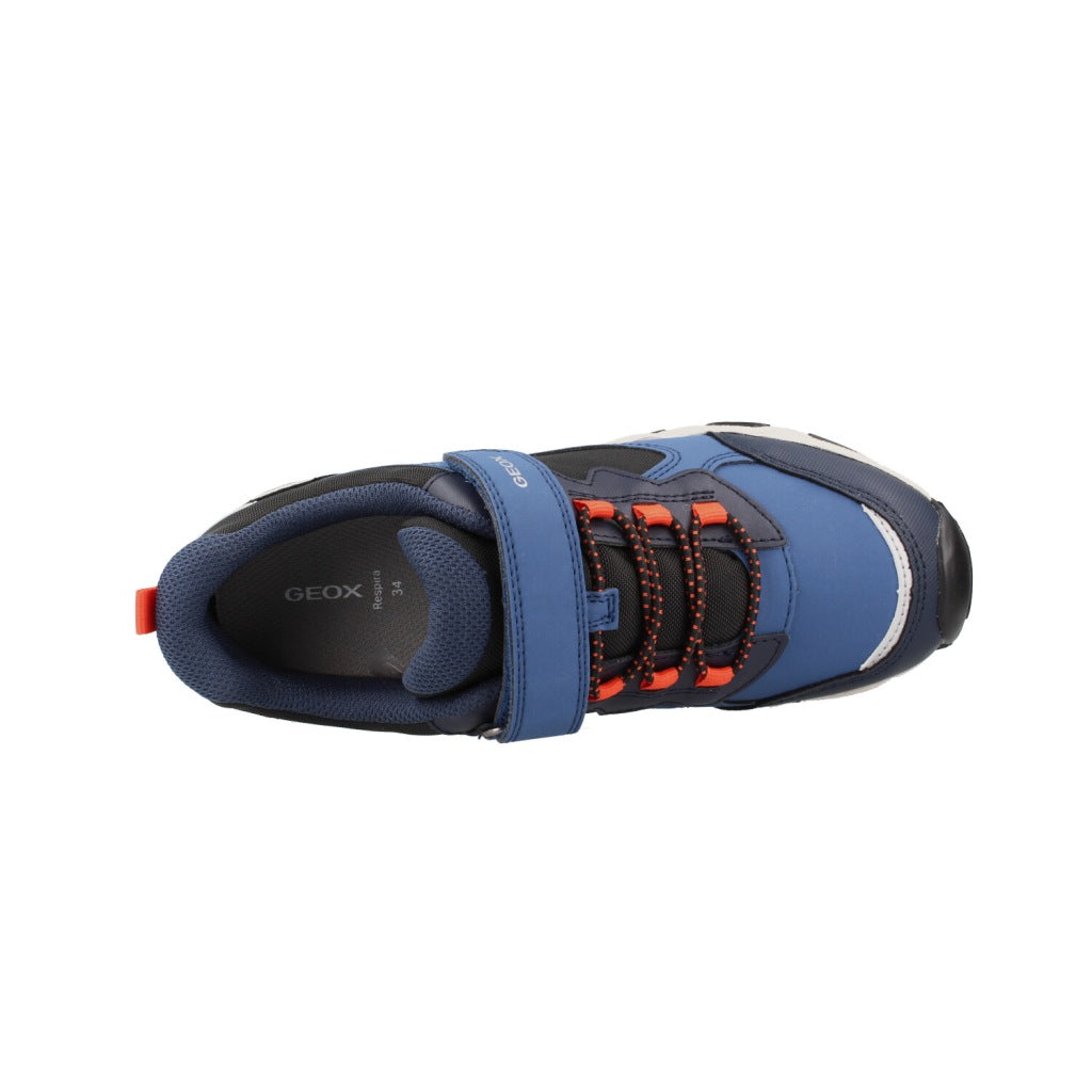 GEOX en color AZUL (7)