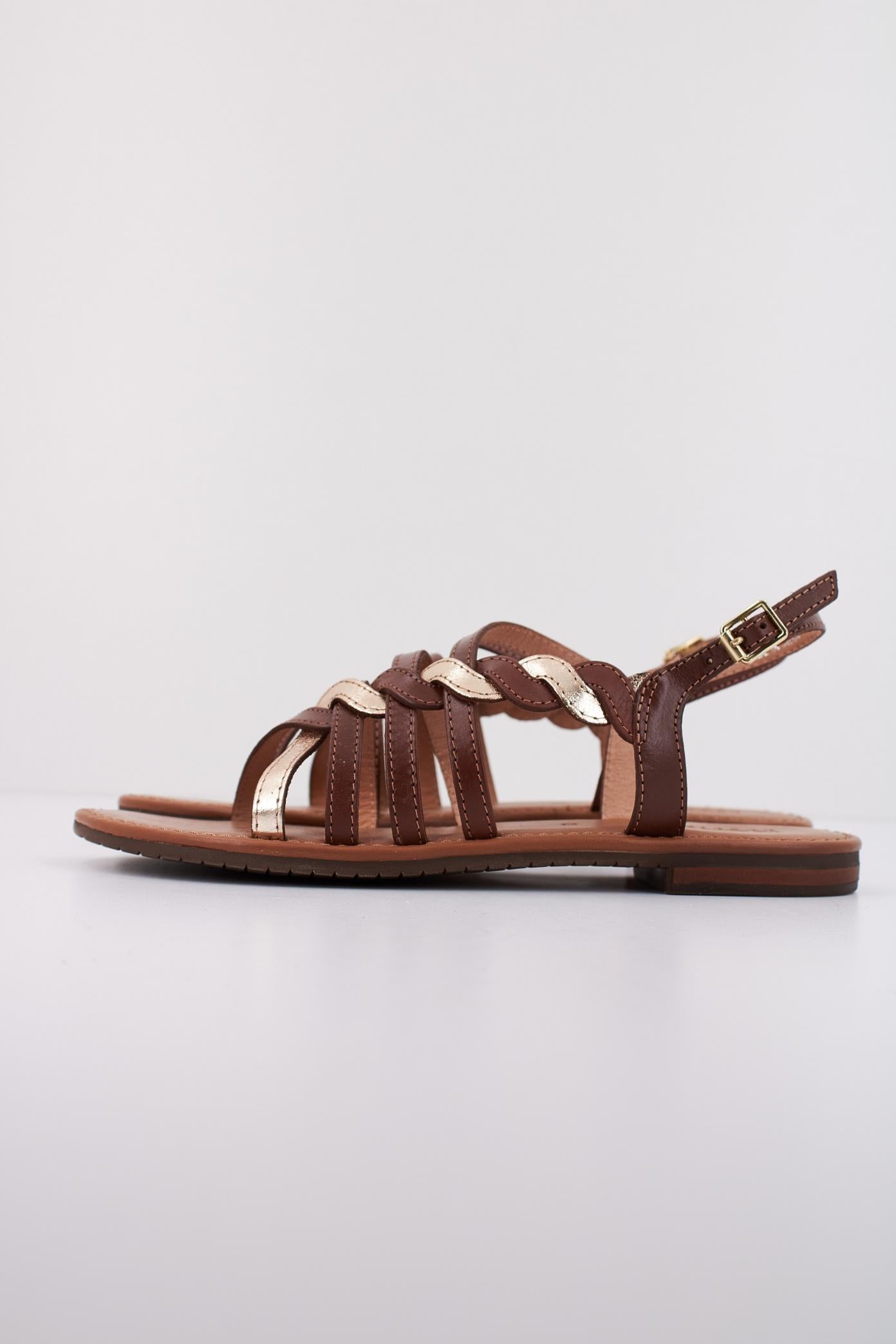 GEOX D SOZY S en color MARRON (1)