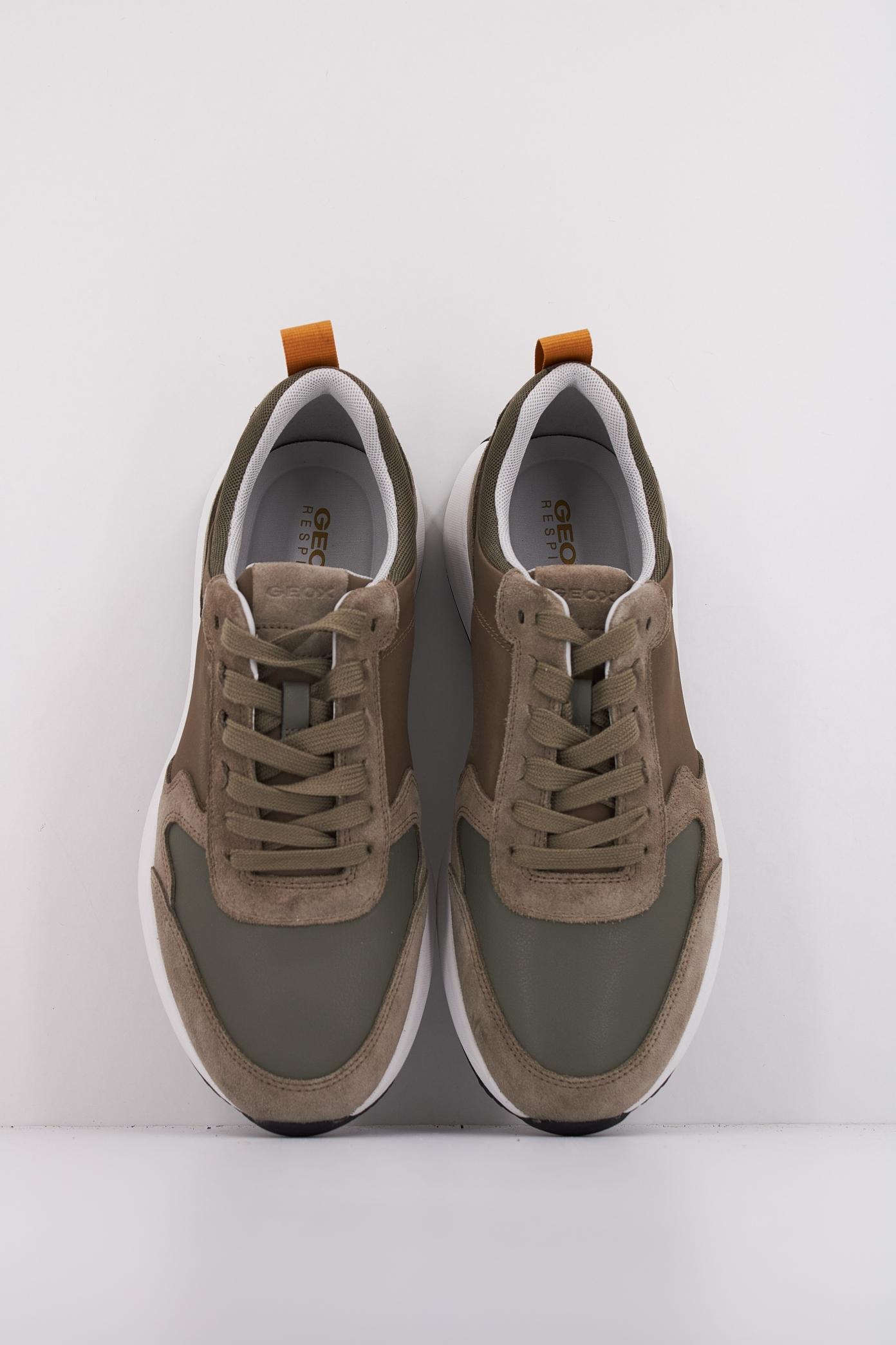 GEOX U VOLPIANO en color VERDE (3)