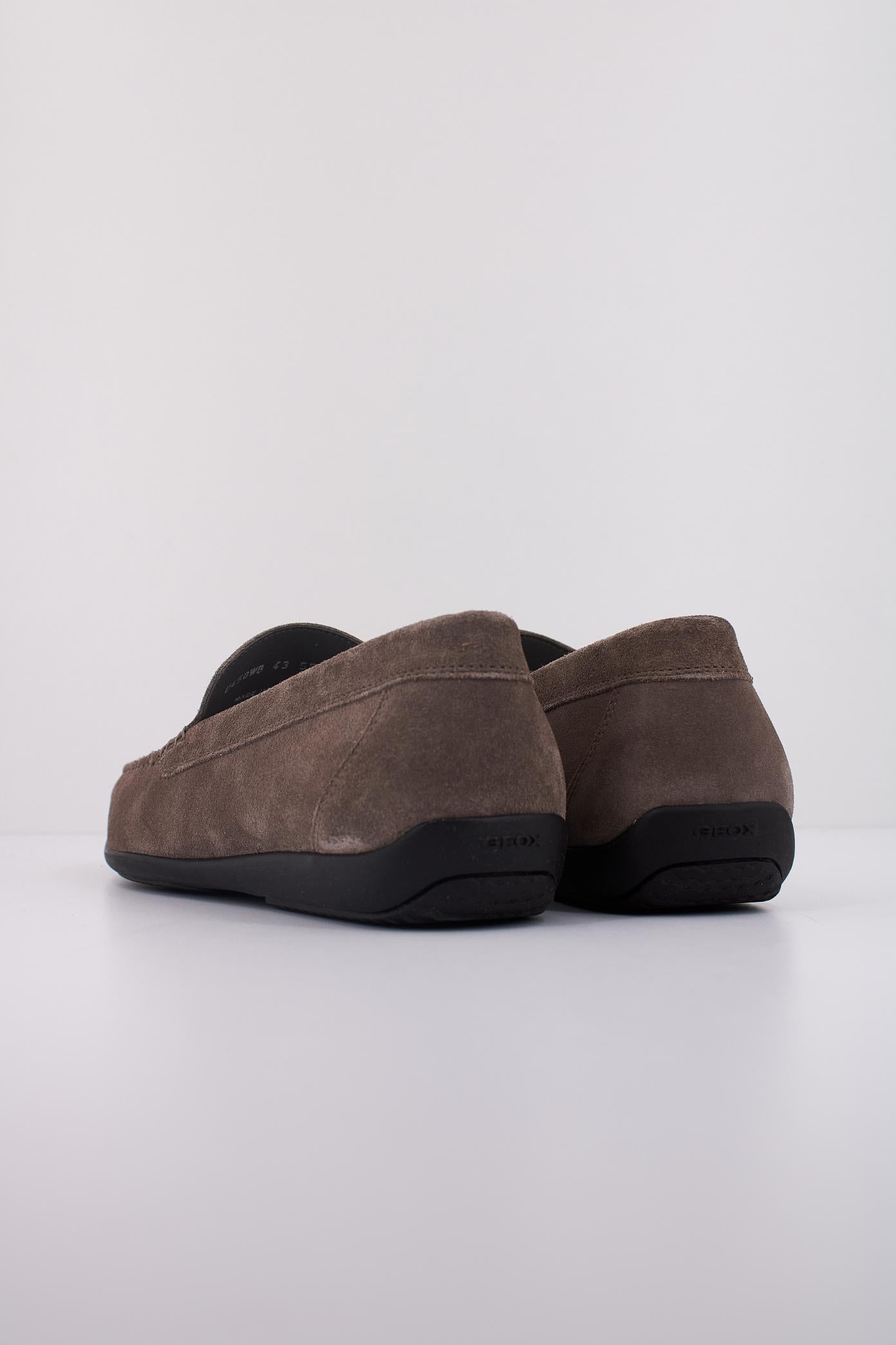 GEOX U ASCANIO en color MARRON (4)