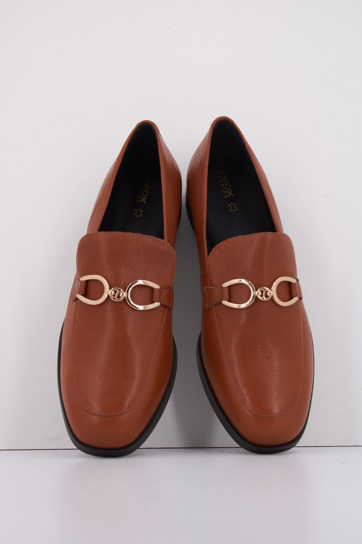 GEOX D CLORIDIE en color MARRON (3)