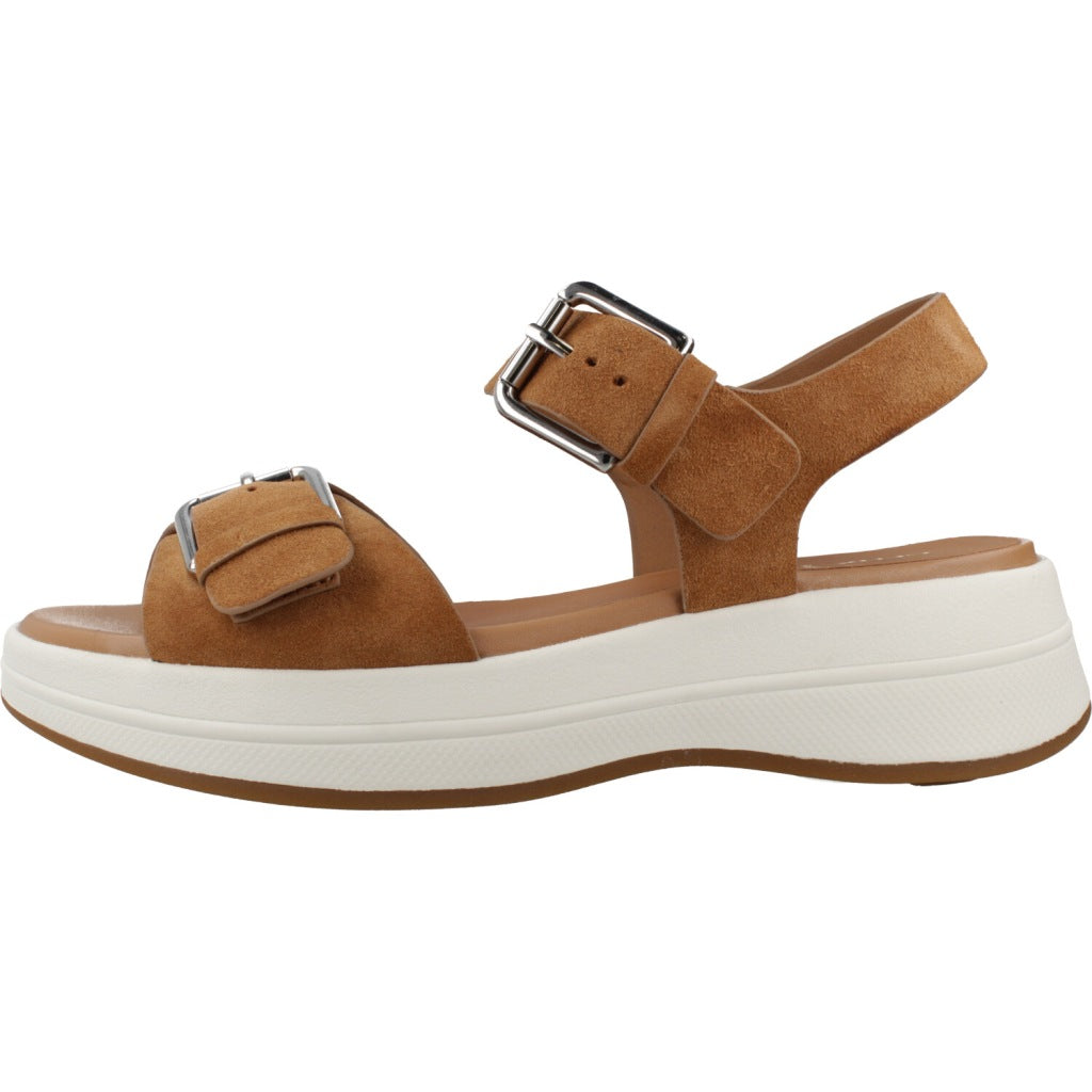 GEOX D SPHERICA ECUB S en color MARRON (2)