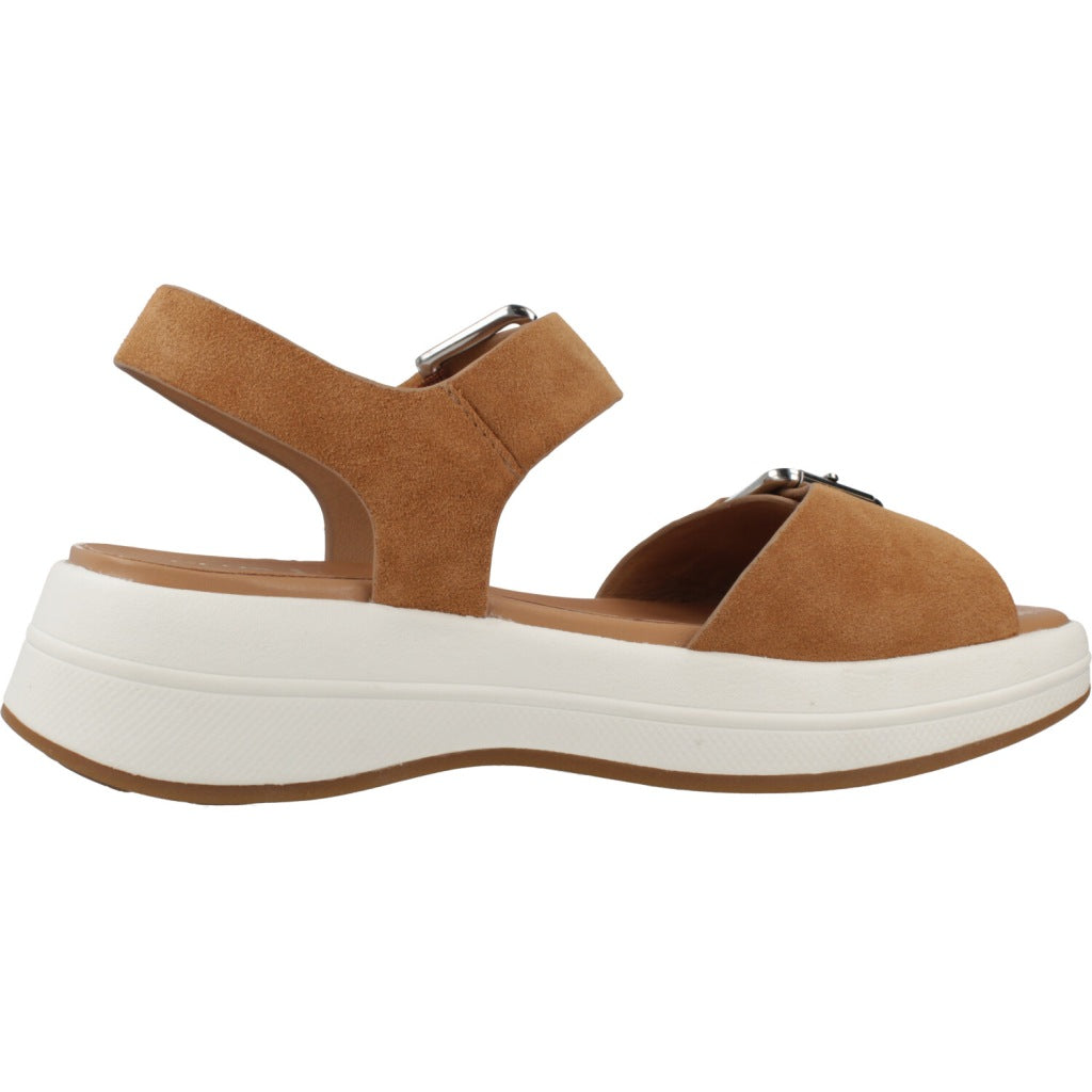 GEOX D SPHERICA ECUB S en color MARRON (4)