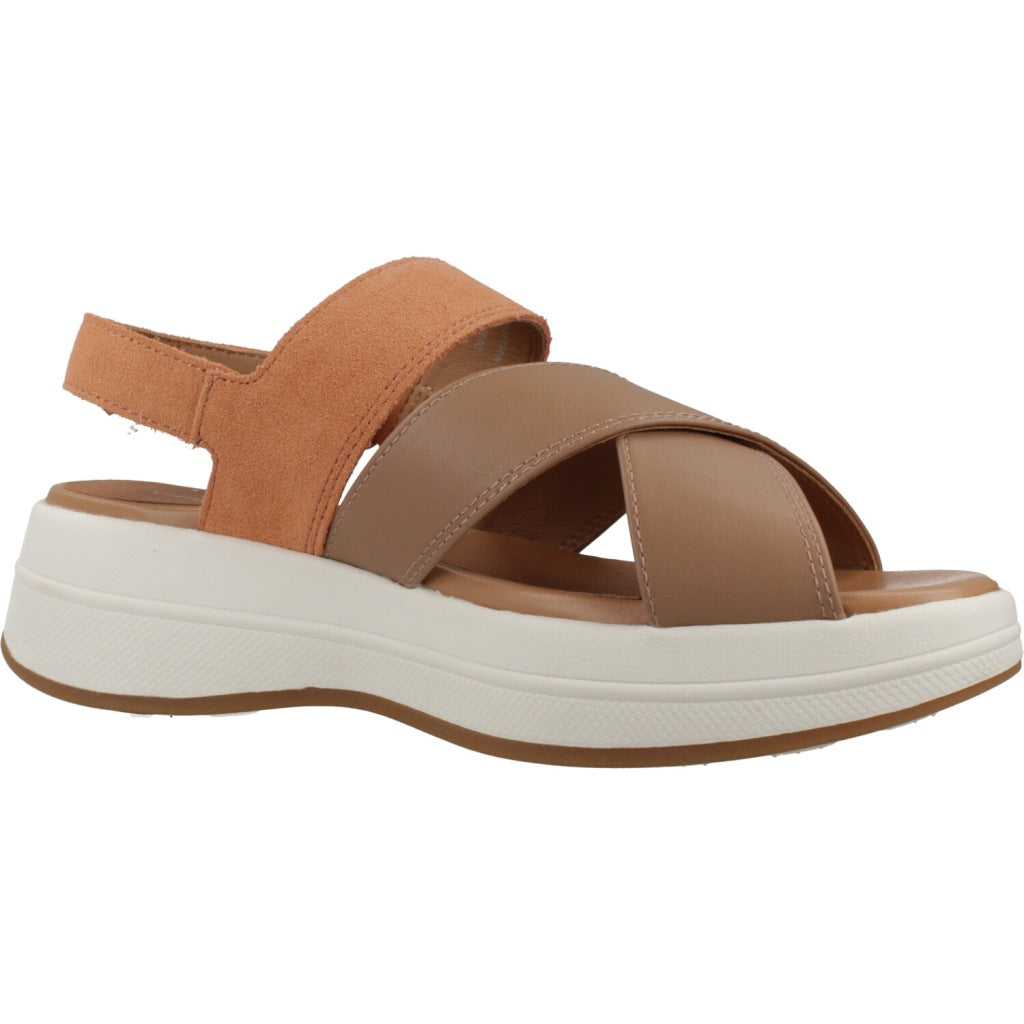 GEOX D SPHERICA ECUB S en color MARRON (5)