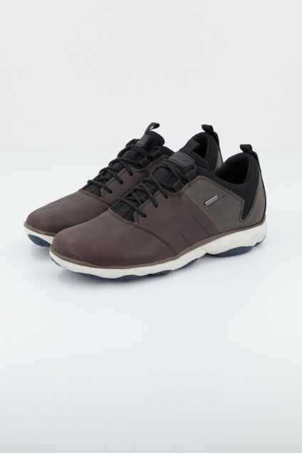 GEOX U NEBULA XB ABX en color MARRON (1)