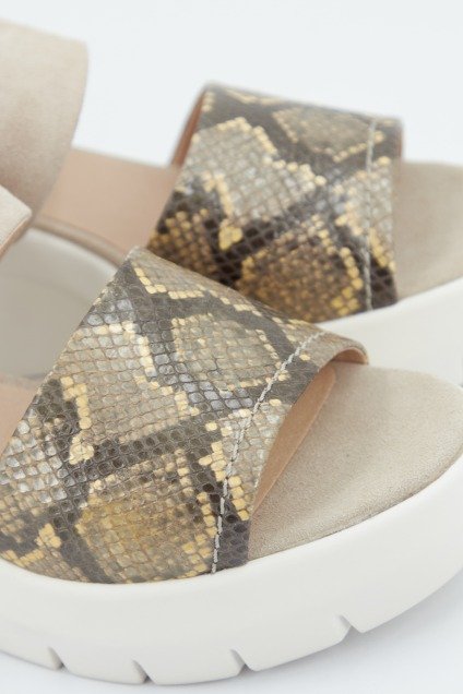 GEOX D TORRENCE A en color ANIMAL PRINT (4)