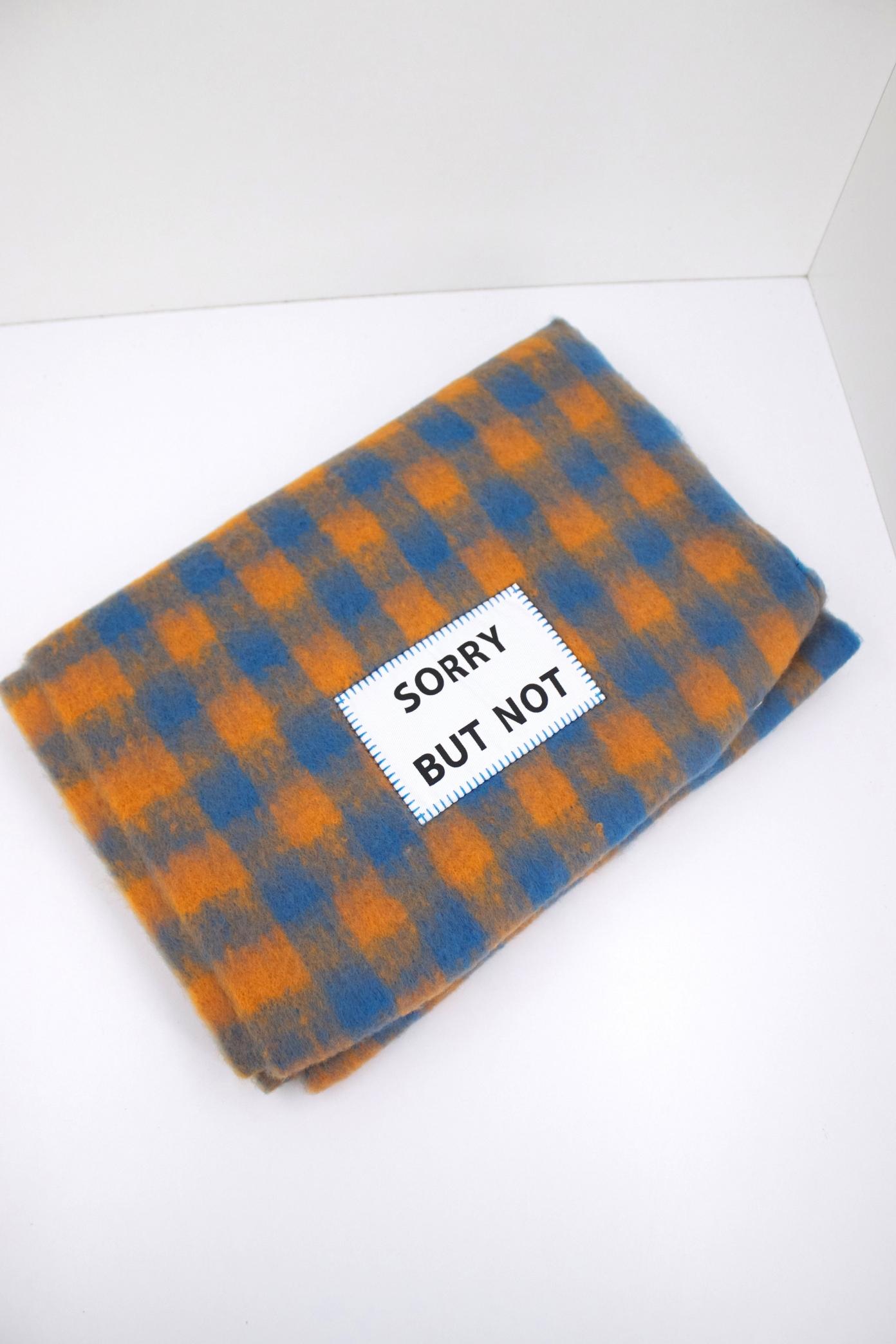 VERB TO DO SORRY BUT NO en color MULTICOLOR (2)