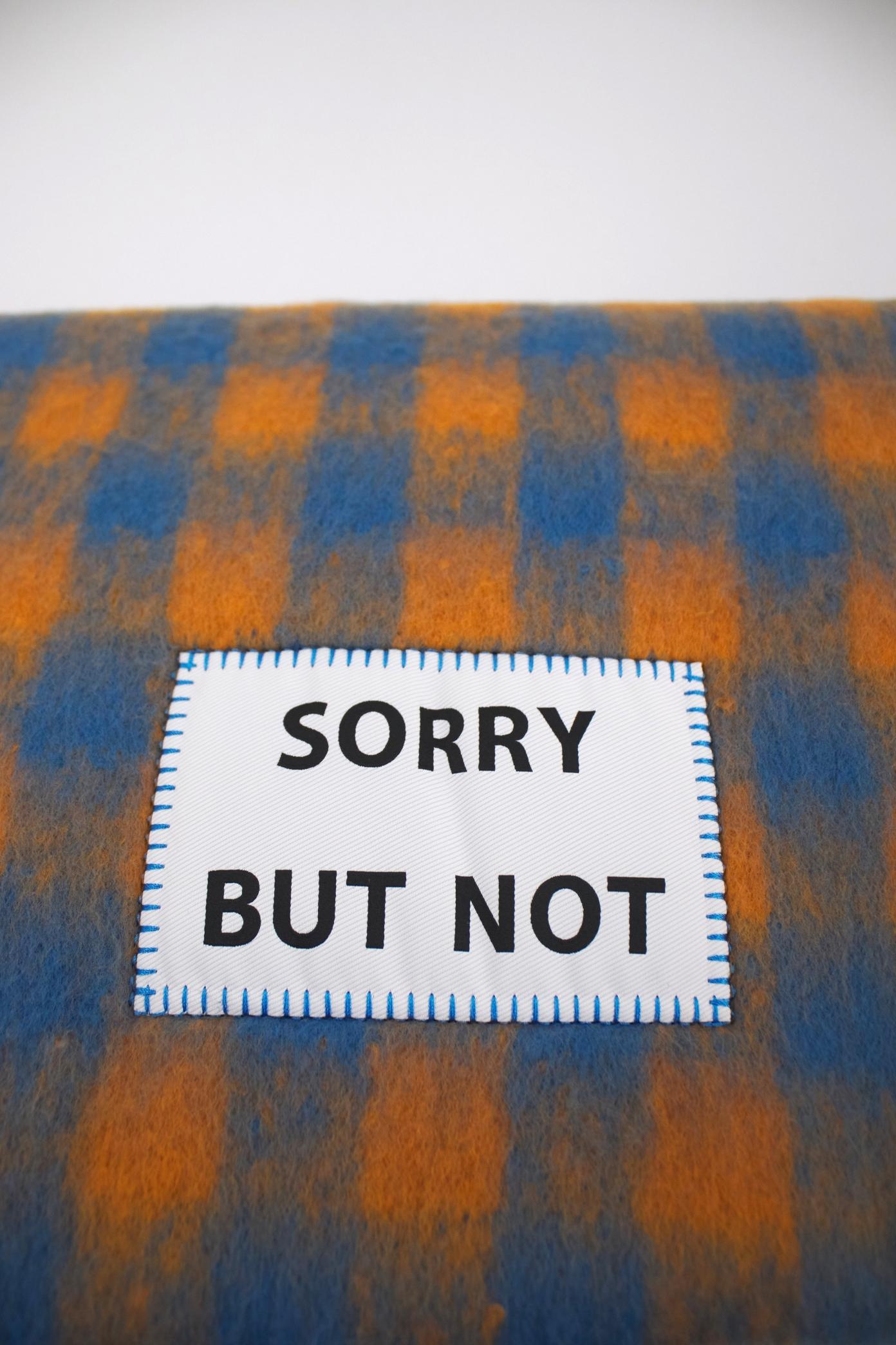 VERB TO DO SORRY BUT NO en color MULTICOLOR (3)