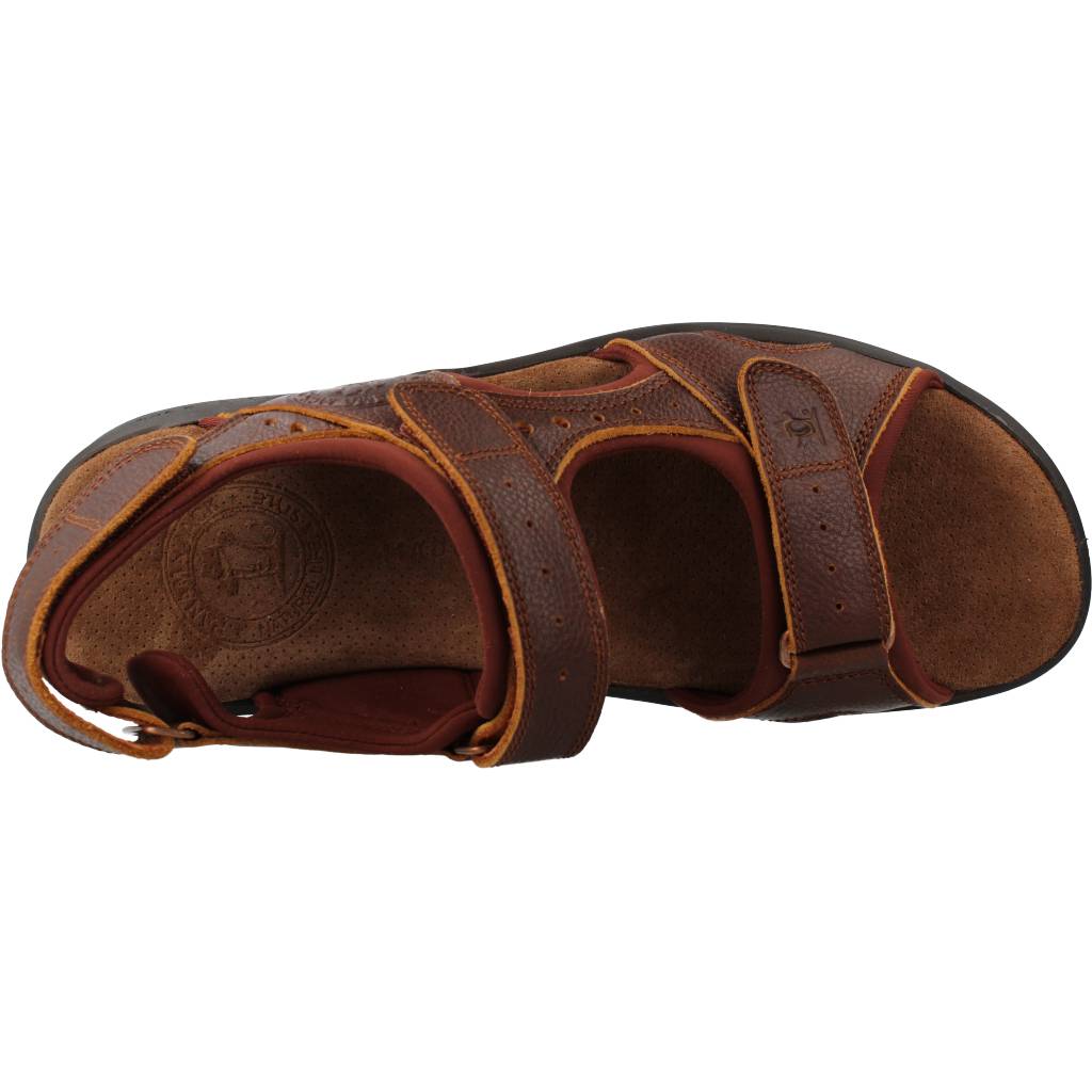 PANAMA JACK SALTON BASICSC en color MARRON (7)