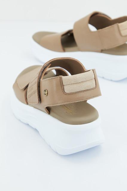 PANAMA JACK NOAH B en color MARRON (4)