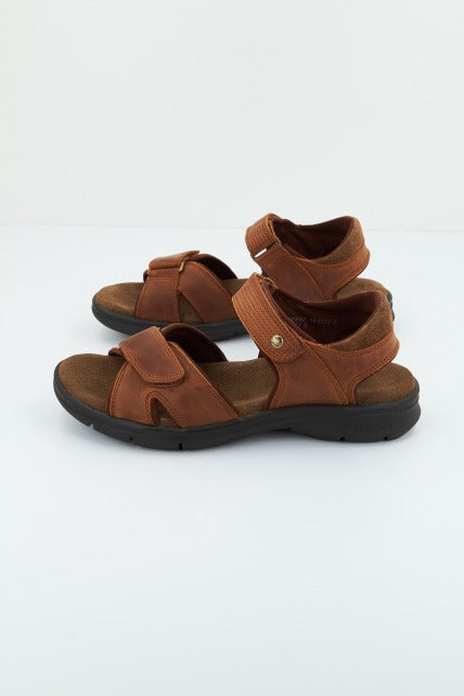 PANAMA JACK SANDERS BASICSC en color MARRON (1)