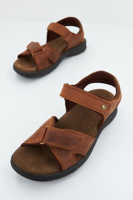 PANAMA JACK SANDERS BASICSC en color MARRON (2)