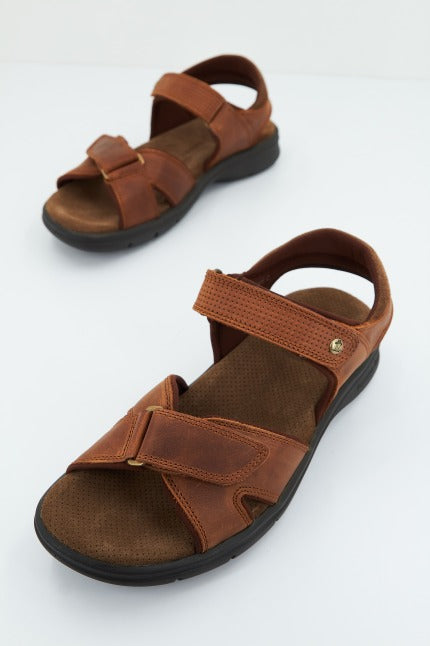 PANAMA JACK SANDERS BASICSC en color MARRON (2)