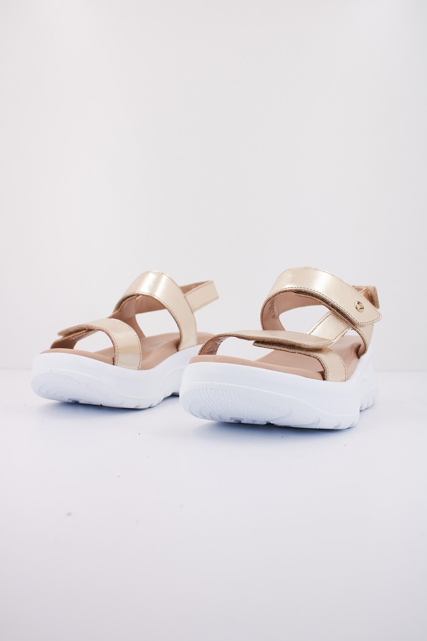 PANAMA JACK NOOR SHINE B en color ORO (2)