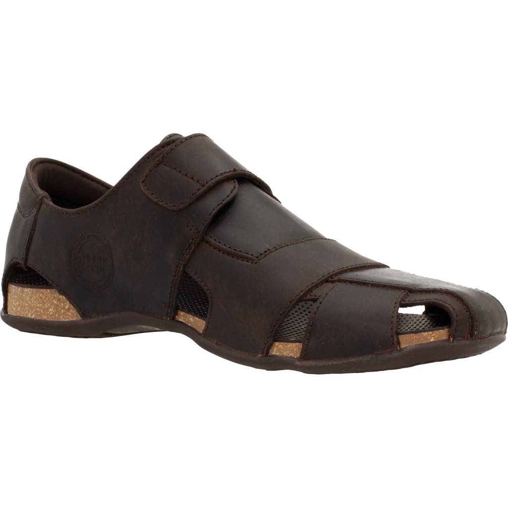 PANAMA JACK FLETCHER BASICS C en color MARRON (5)