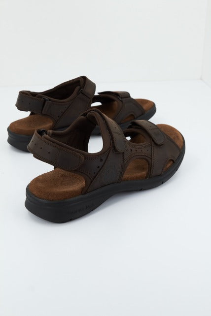 PANAMA JACK SALTON BASICS C en color MARRON (3)
