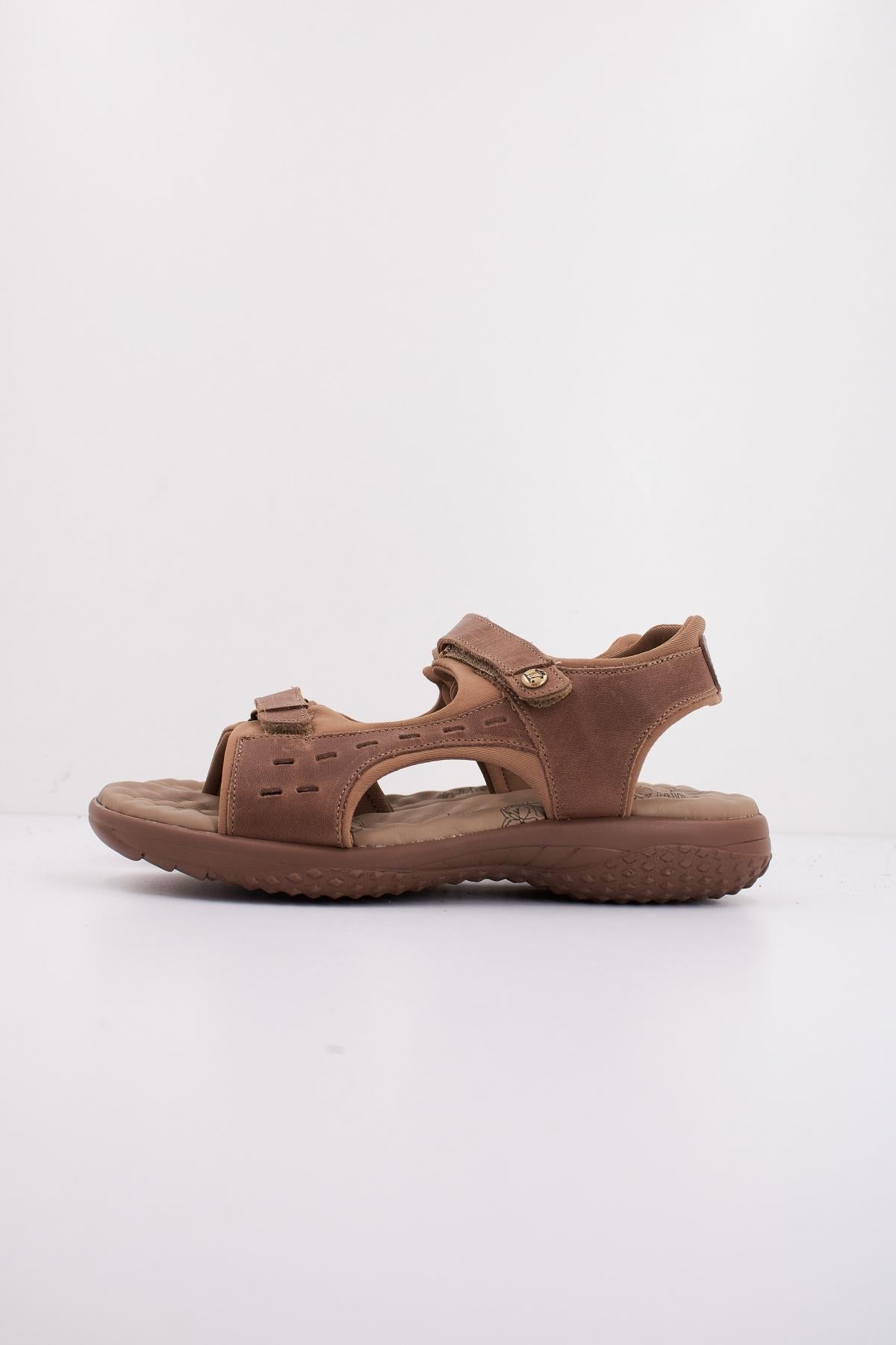 PANAMA JACK NILO BASICS B en color MARRON (1)