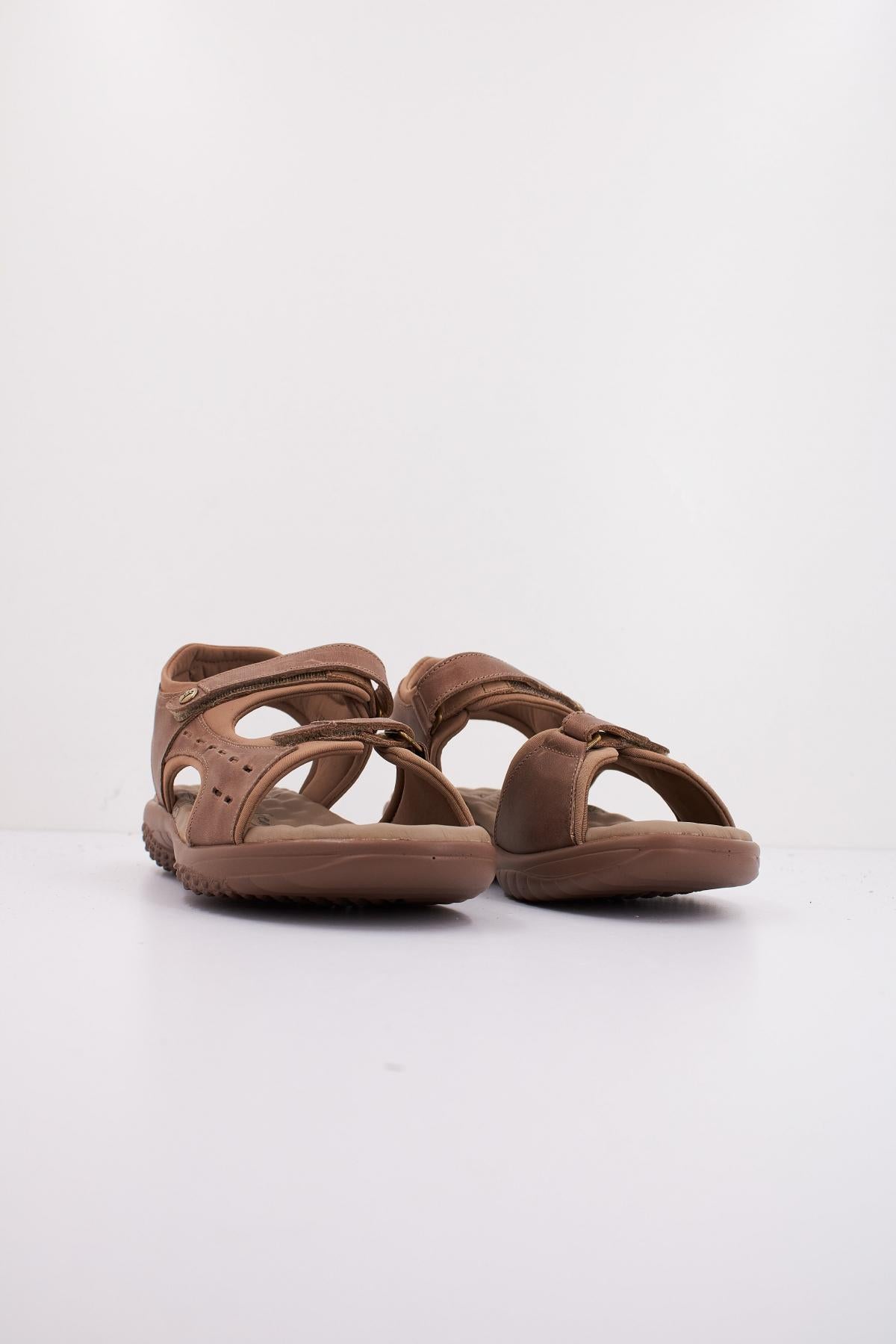 PANAMA JACK NILO BASICS B en color MARRON (2)