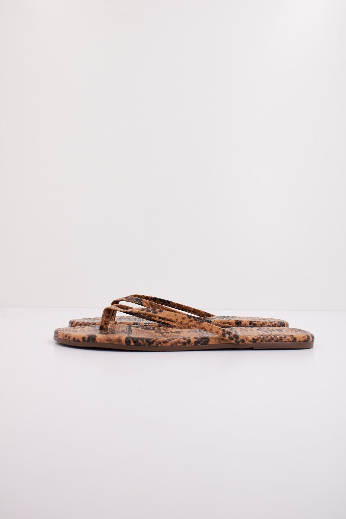TKEES TKESTUDIO en color ANIMAL PRINT (1)