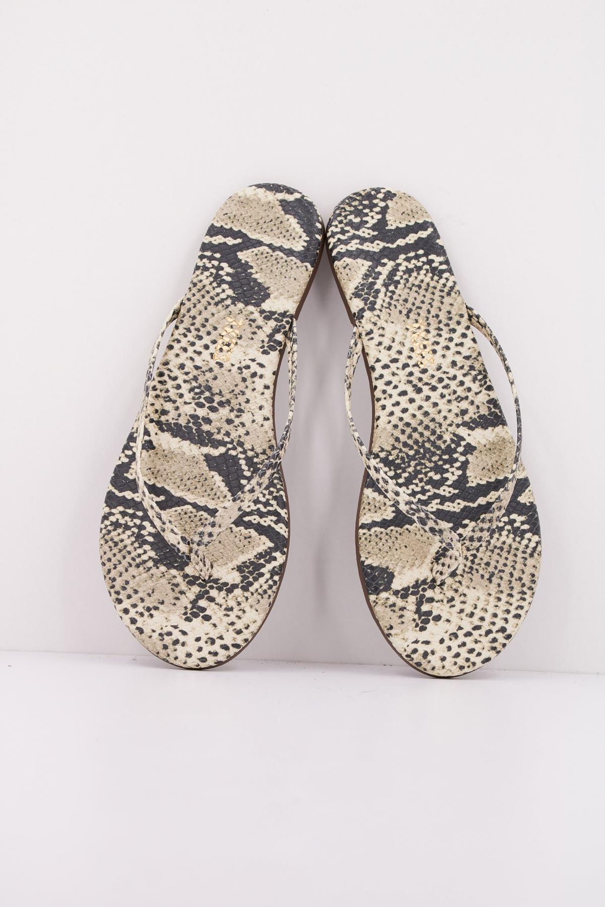 TKEES TKESTUDIO en color ANIMAL PRINT (3)