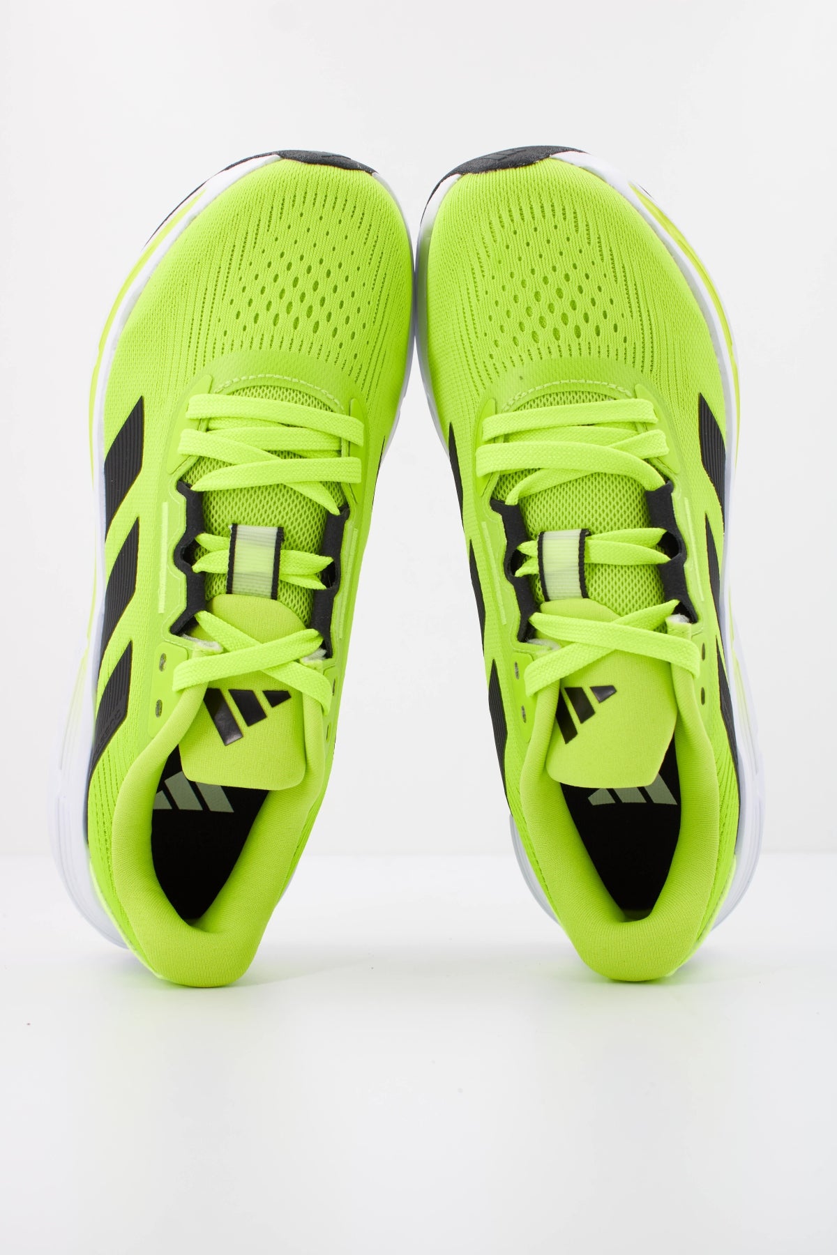 ADIDAS QUESTAR M en color VERDE (3)