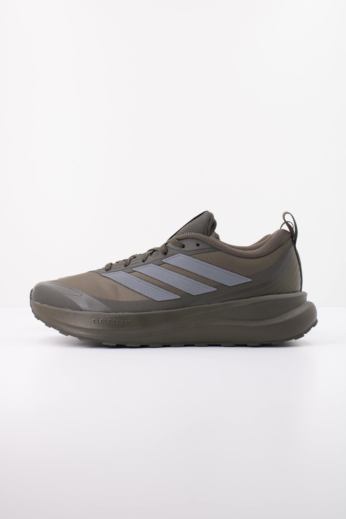 ADIDAS en color VERDE (1)