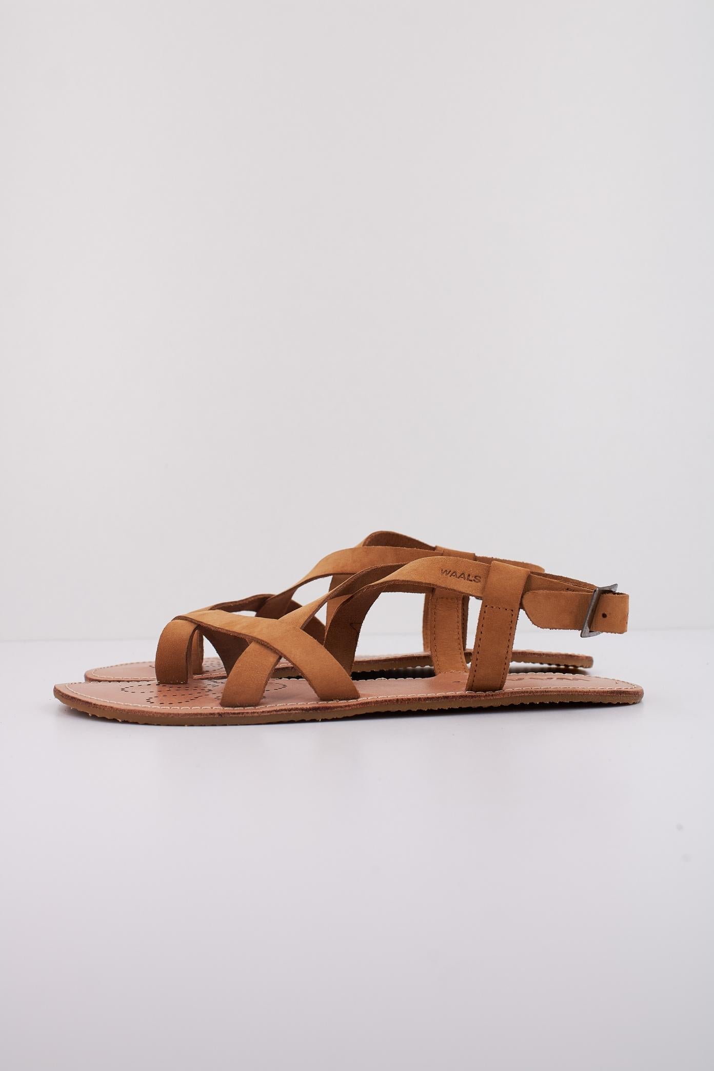 WAALS NATUR en color MARRON (1)