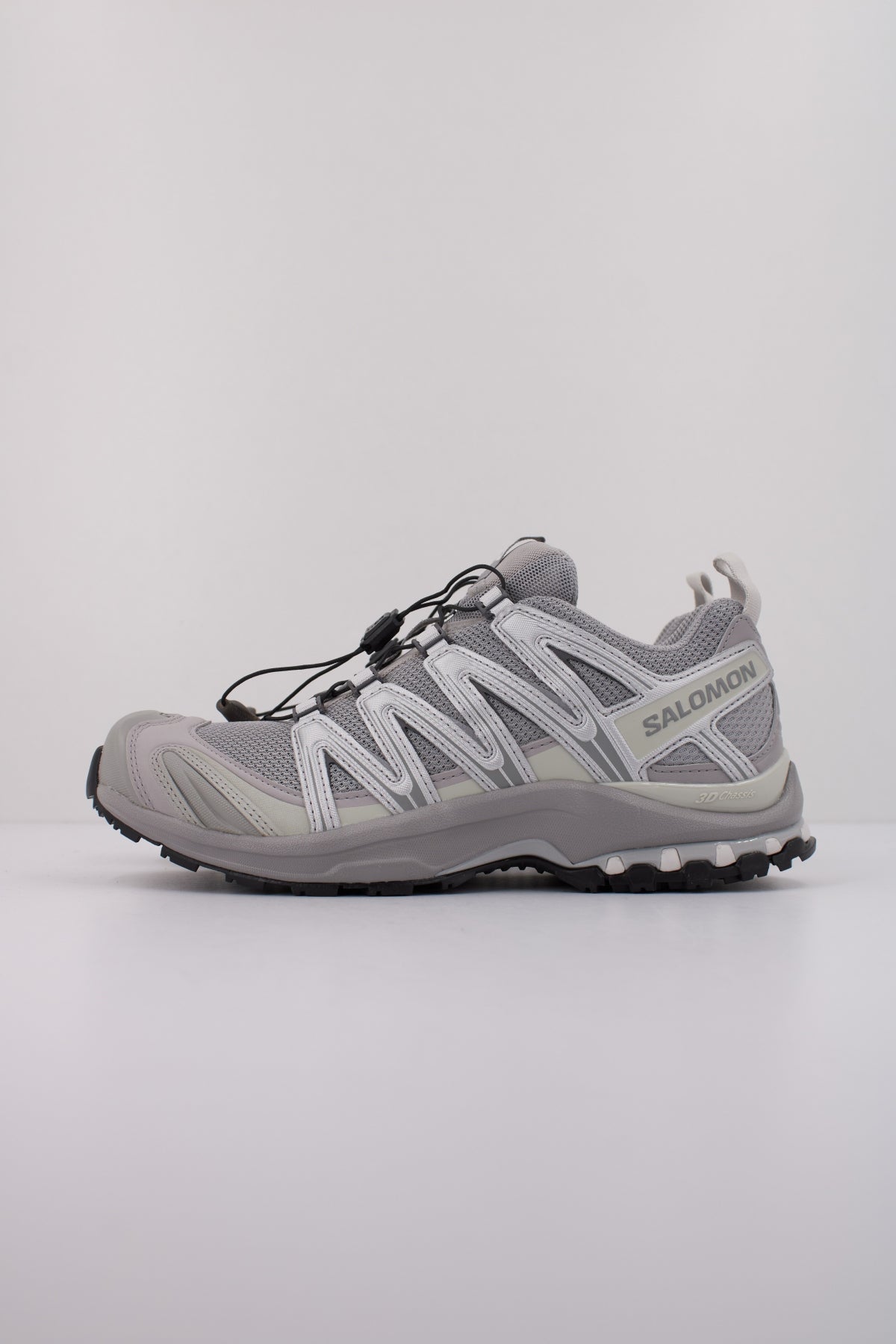 SALOMON XA PRO D en color PLATA (1)