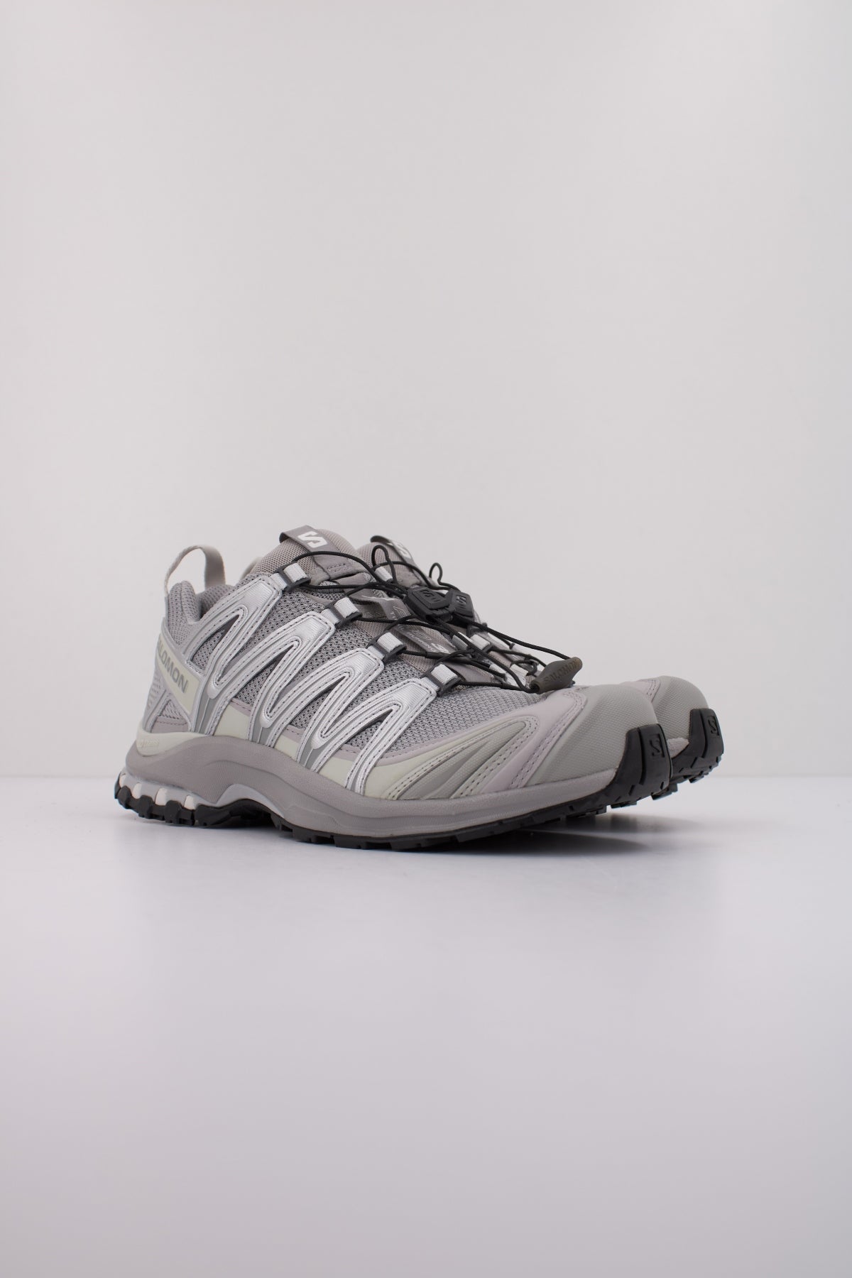 SALOMON XA PRO D en color PLATA (2)
