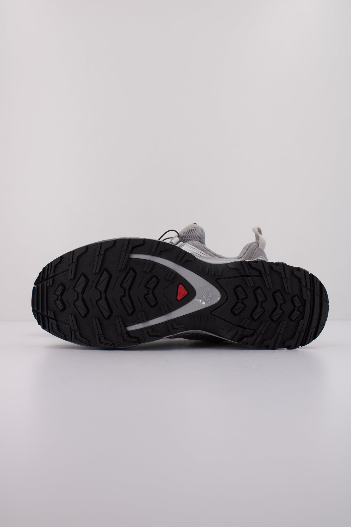 SALOMON XA PRO D en color PLATA (5)