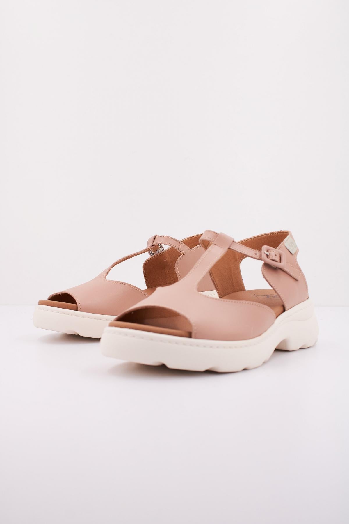 RAY MUSGO FILLO en color ROSA (2)