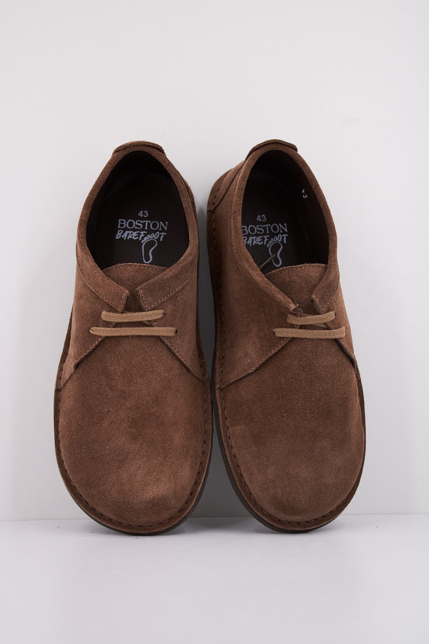 BOSTON BRUTUS en color MARRON (3)