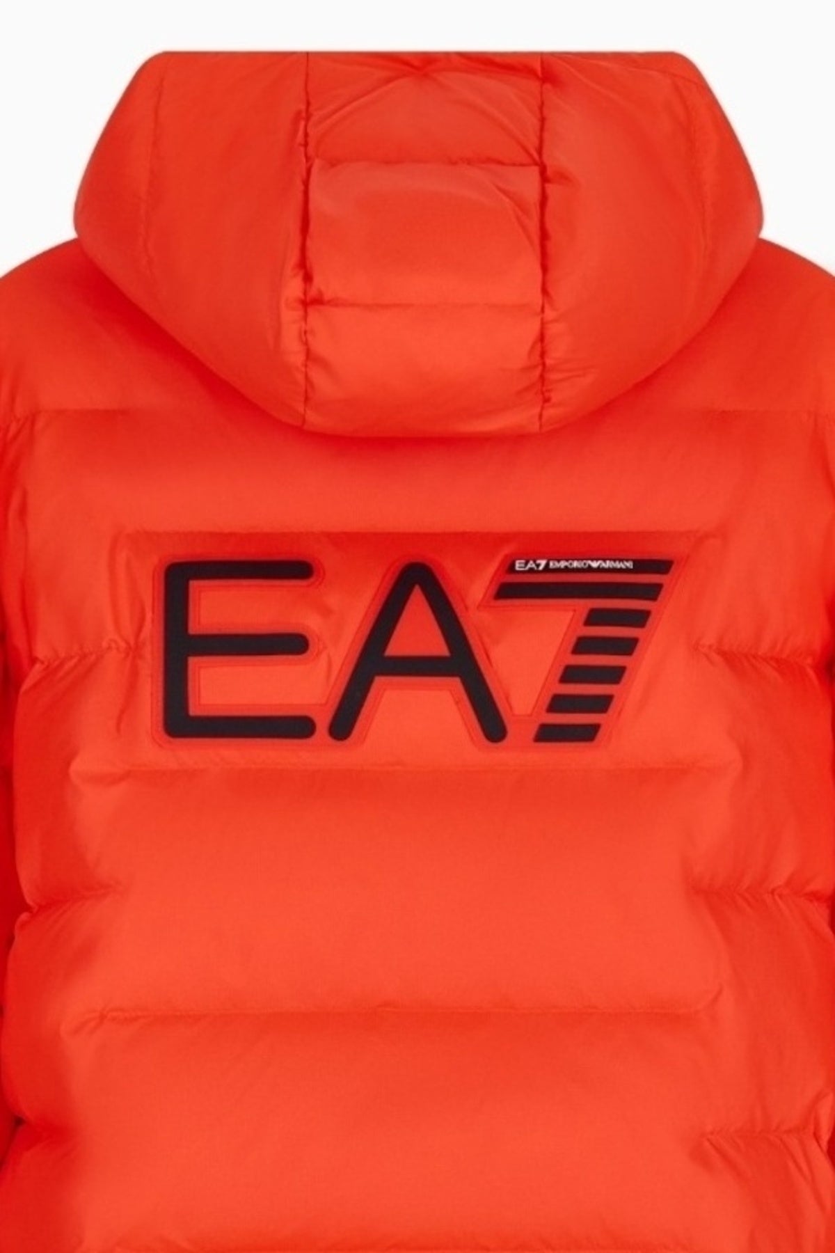 EA BY EMPORIO ARMANI M AF MOUNTAIN POLAR JACK en color NARANJA (4)