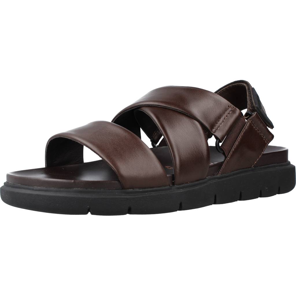 STONEFLY HYDRA NAPPA LTH en color MARRON (1)