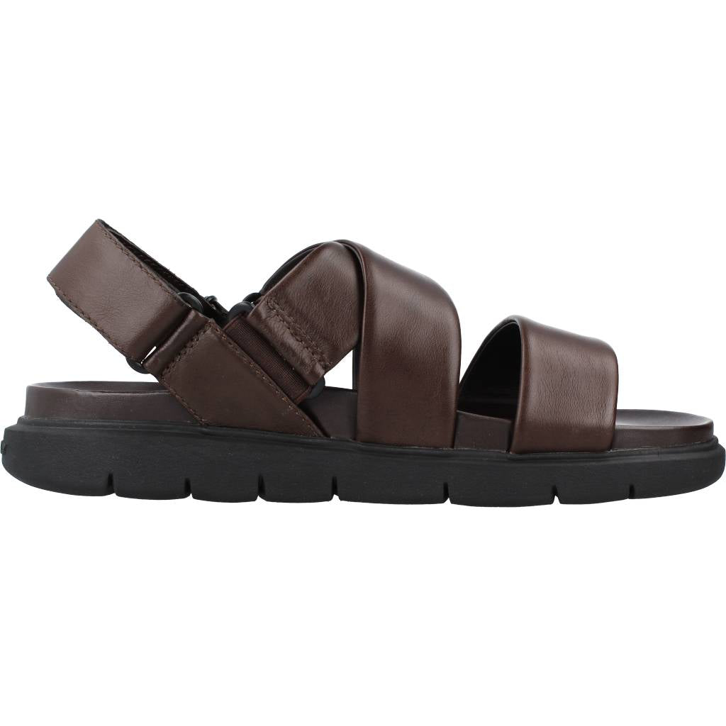 STONEFLY HYDRA NAPPA LTH en color MARRON (4)