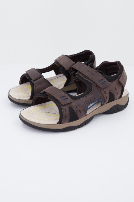 STONEFLY MARK en color MARRON (1)