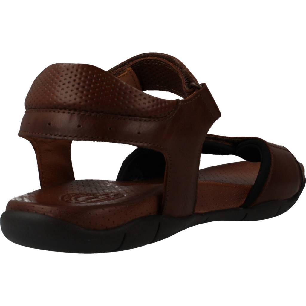 KANGAROOS K en color MARRON (3)