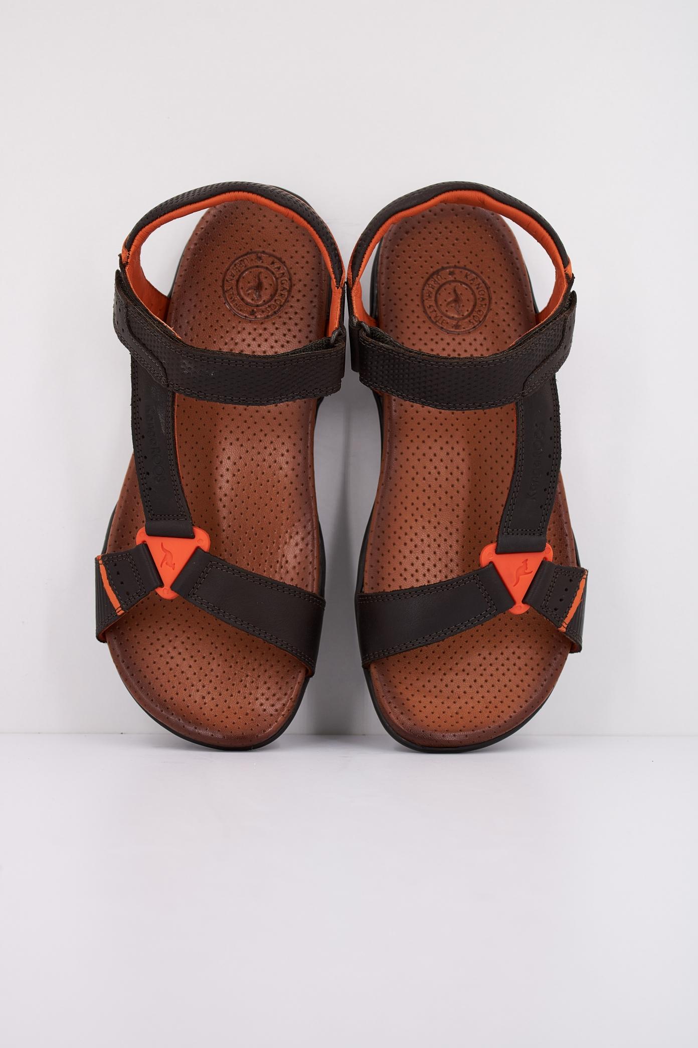 KANGAROOS K en color MARRON (3)