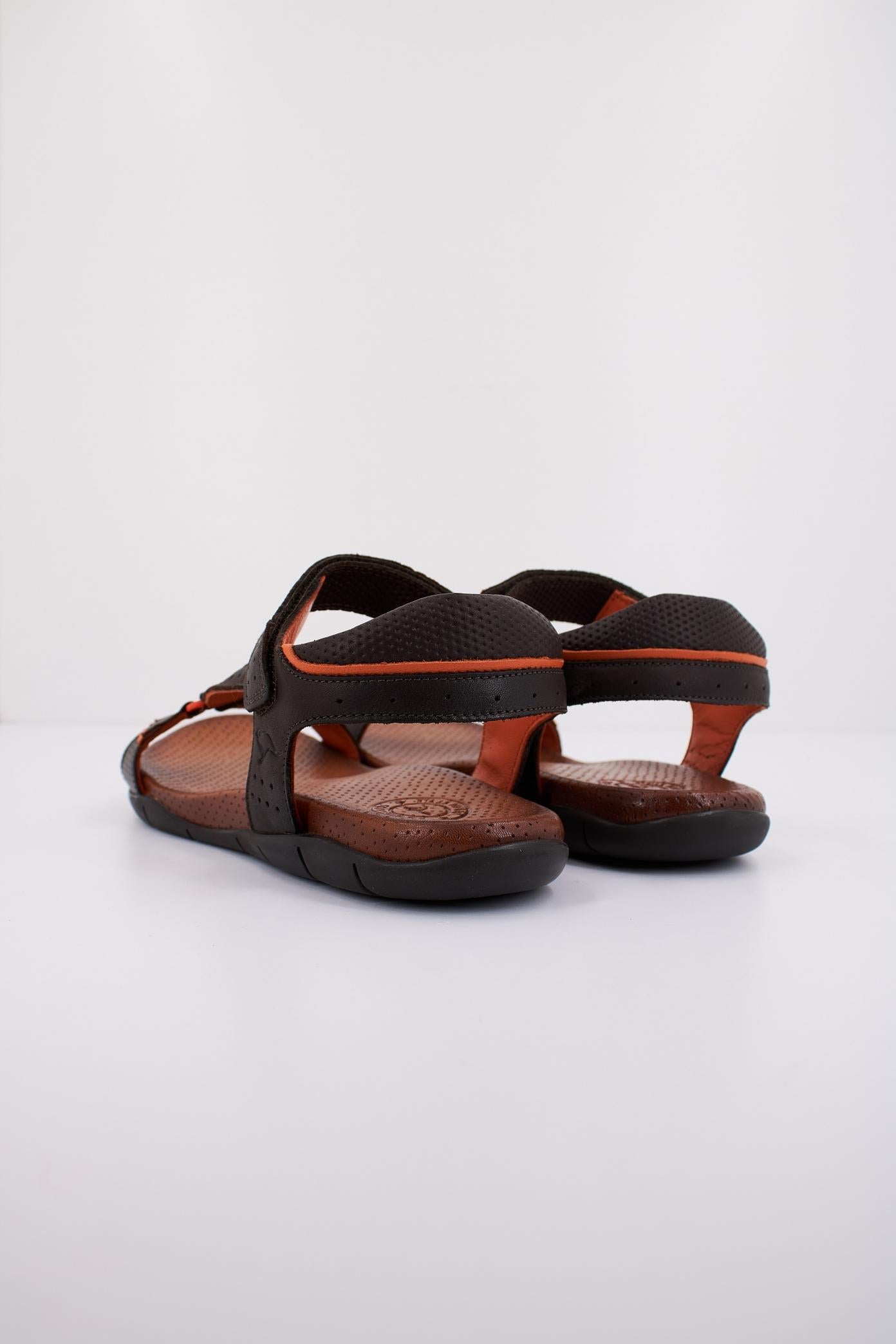 KANGAROOS K en color MARRON (4)