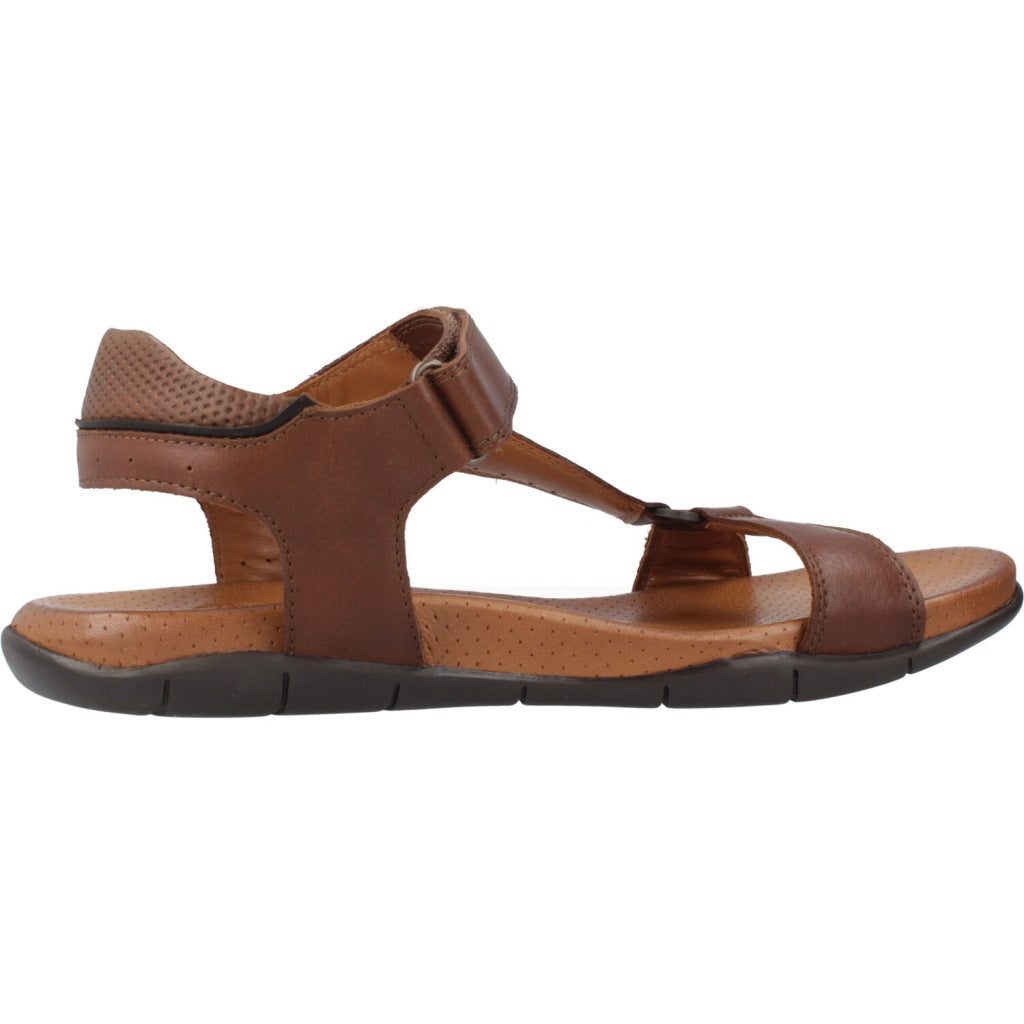 KANGAROOS K en color MARRON (4)
