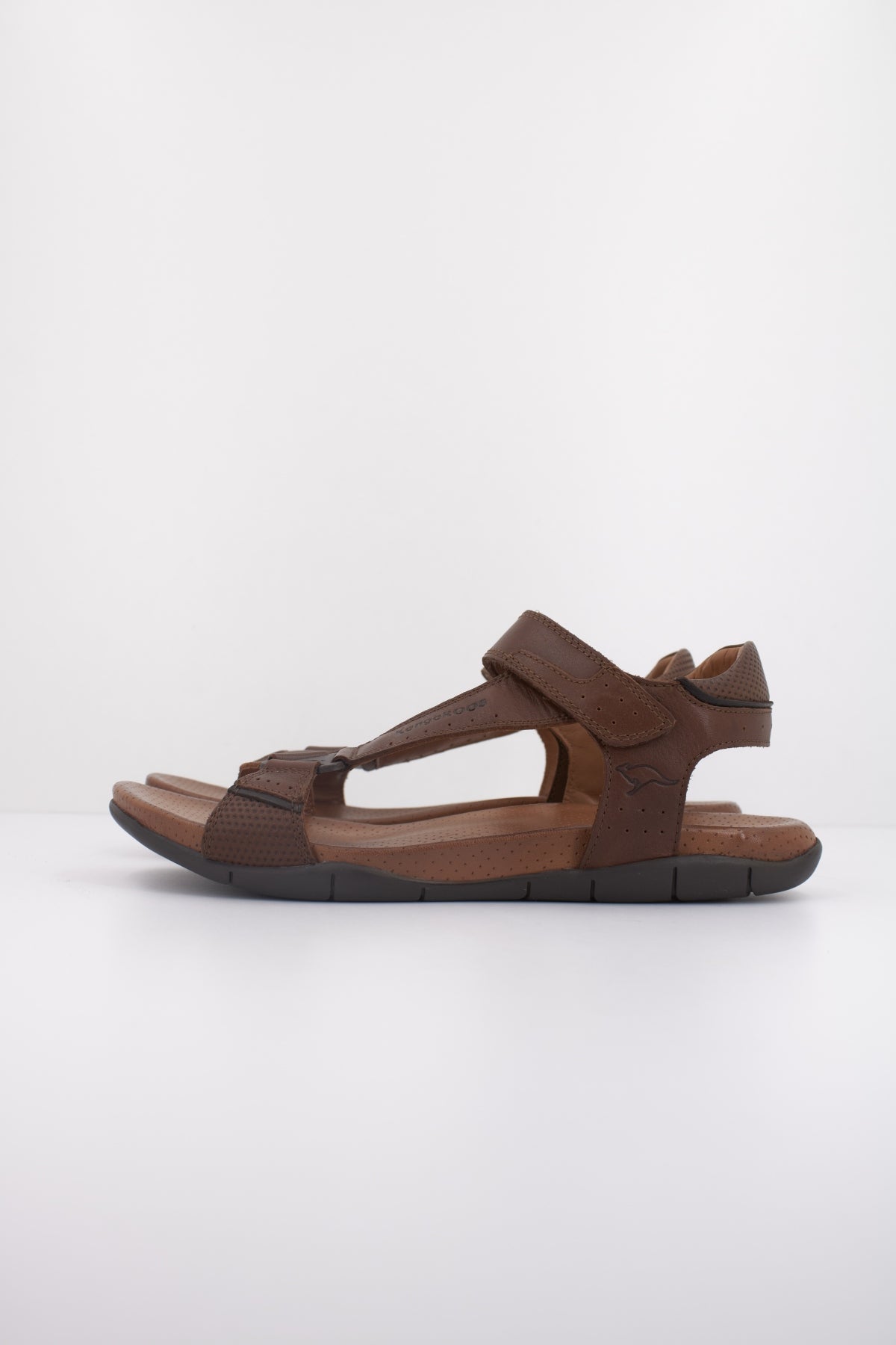 KANGAROOS K en color MARRON (1)