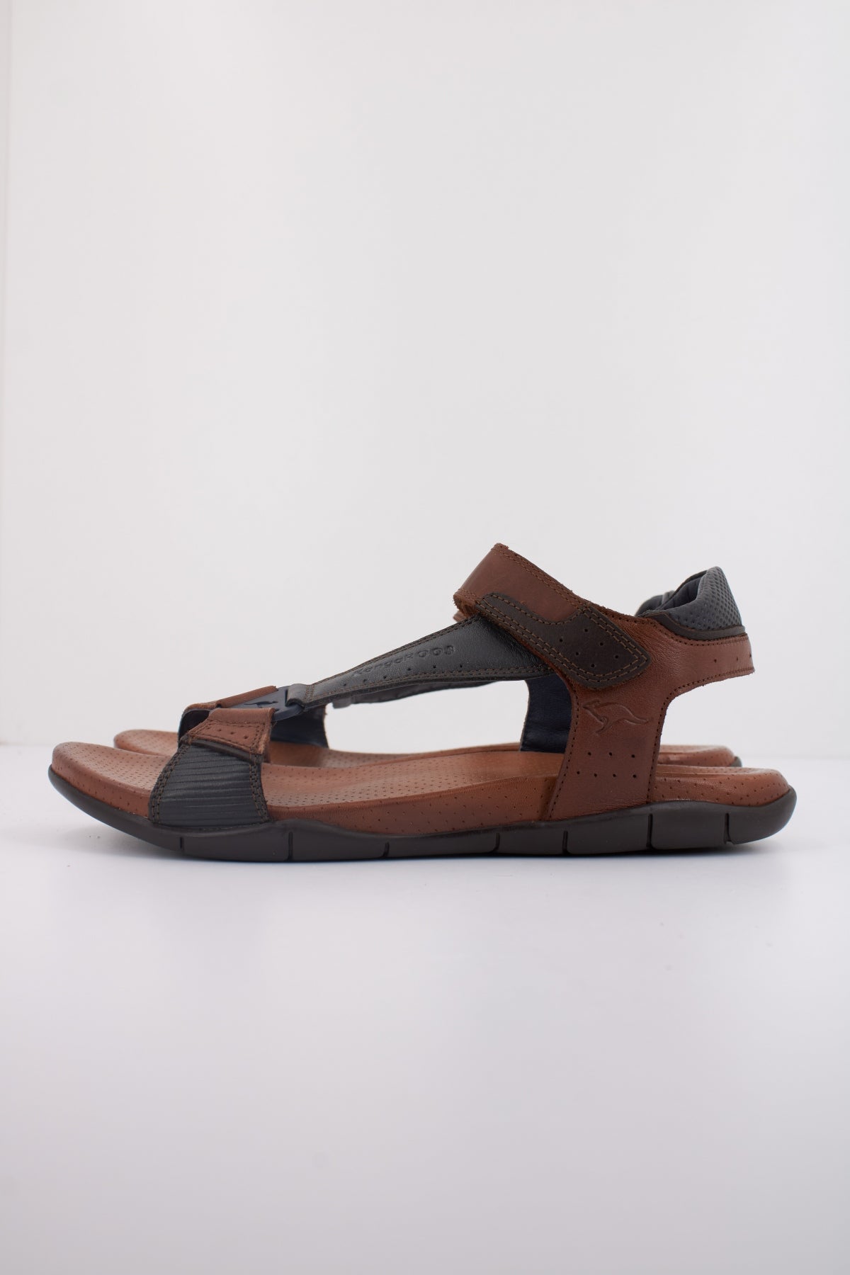 KANGAROOS K en color MARRON (1)