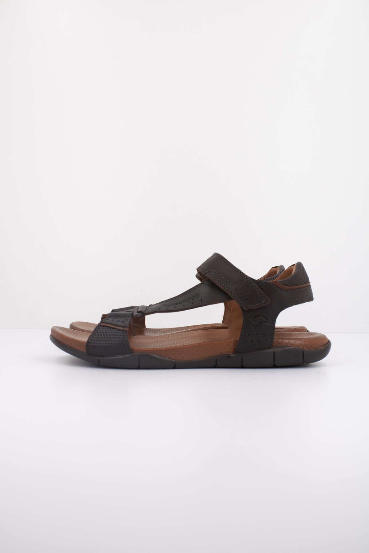 KANGAROOS K en color MARRON (1)