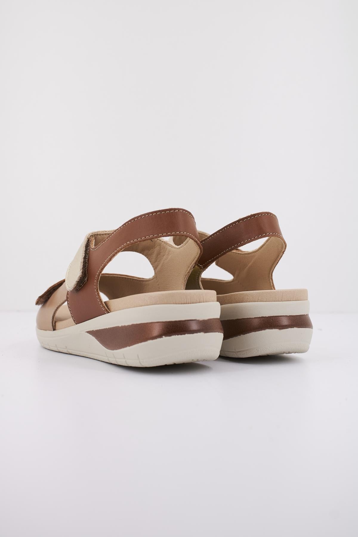 PITILLOS P en color MARRON (3)