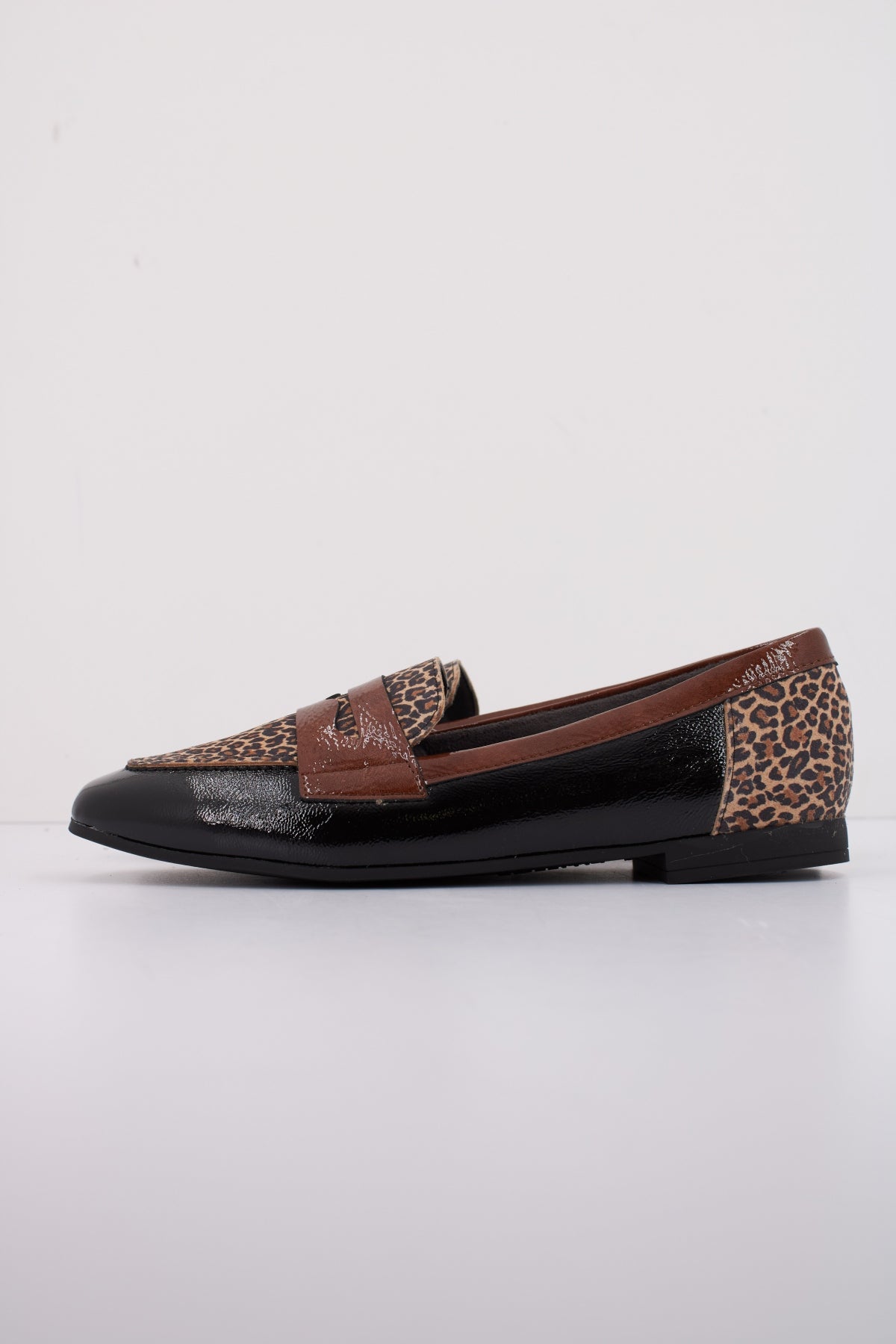 PITILLOS P en color ANIMAL PRINT (1)