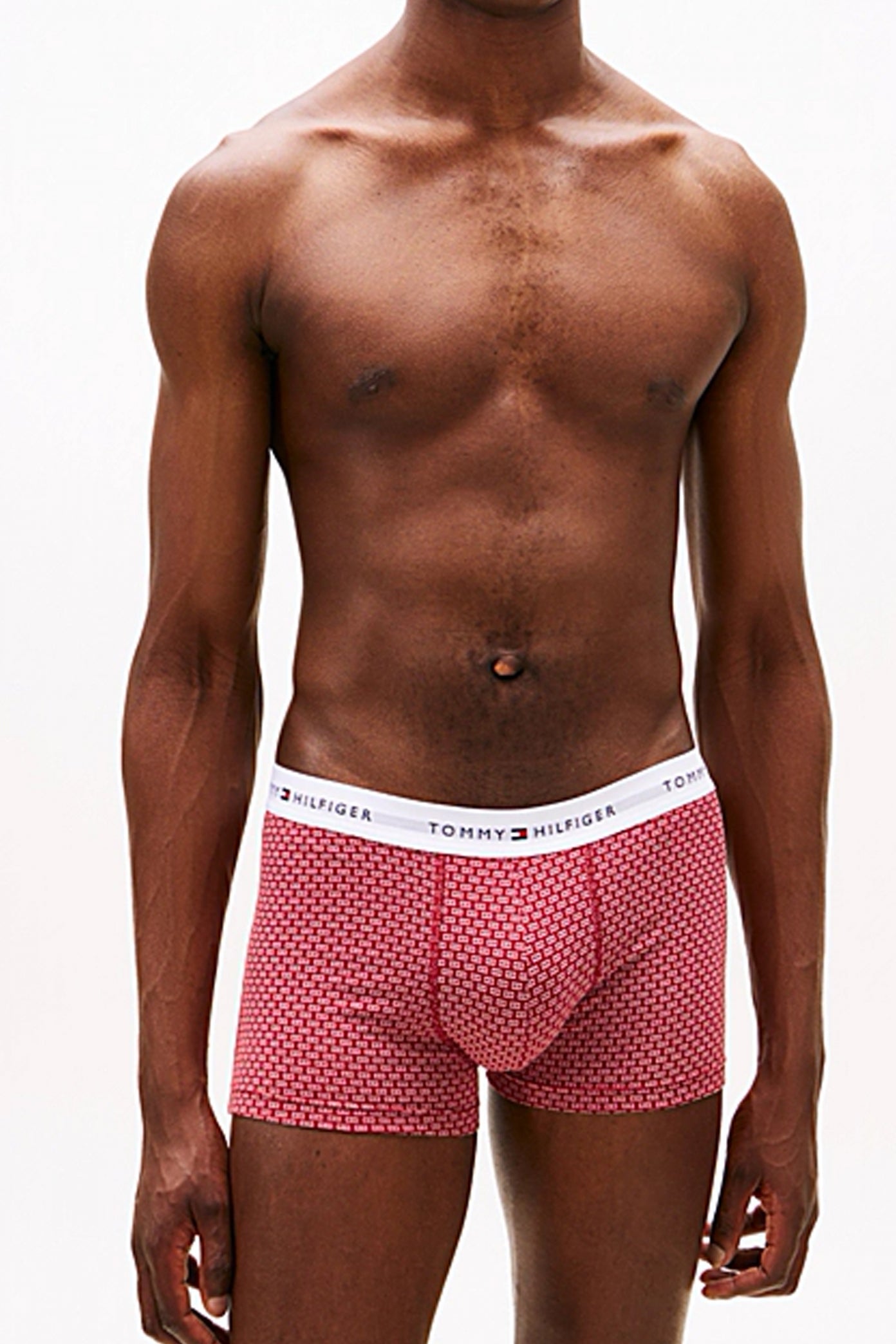 TOMMY HILFIGER UMUM en color MULTICOLOR (4)